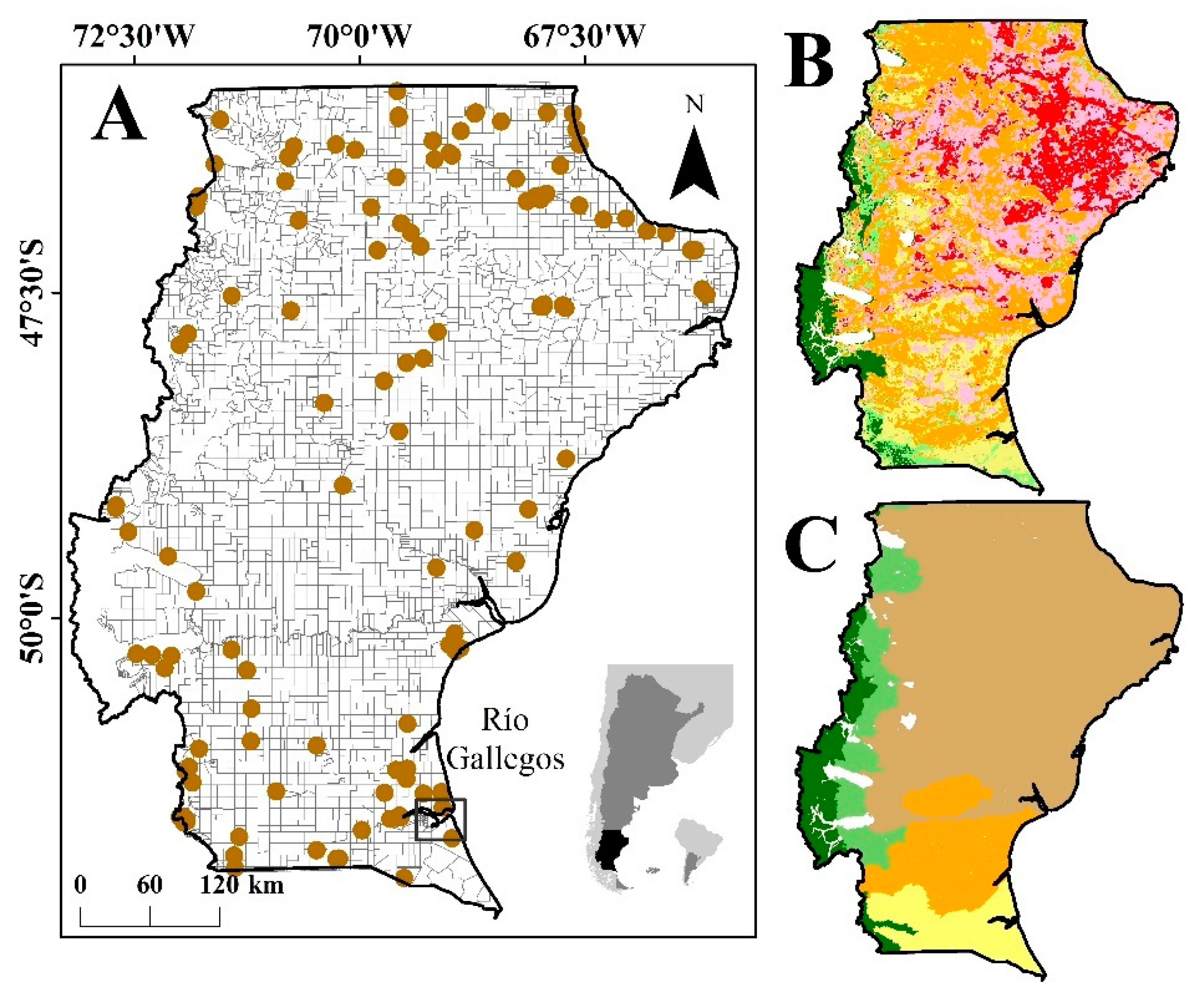 Sustainability 13 08544 g001