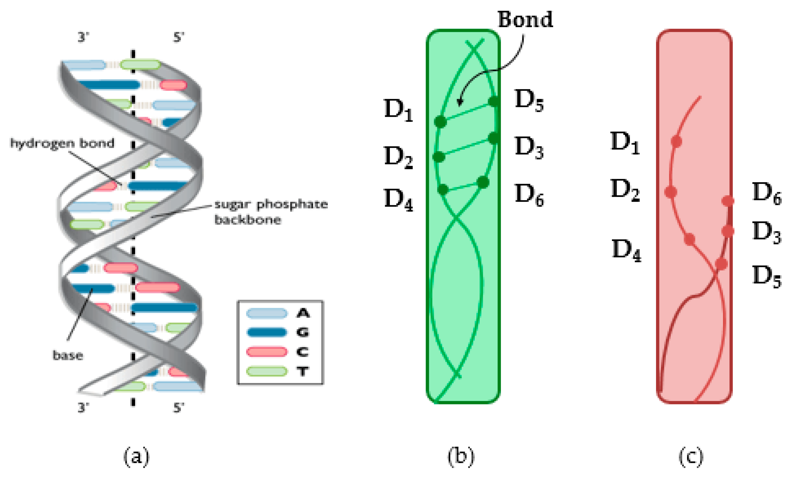Sustainability 13 08553 g004