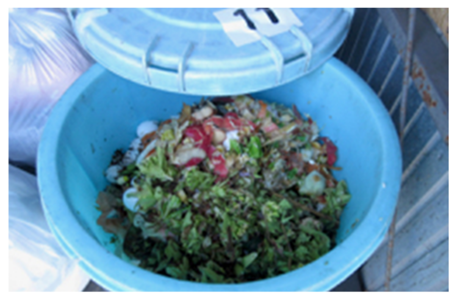 Sustainability 13 08576 g002