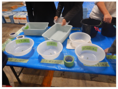 Sustainability 13 08576 i002