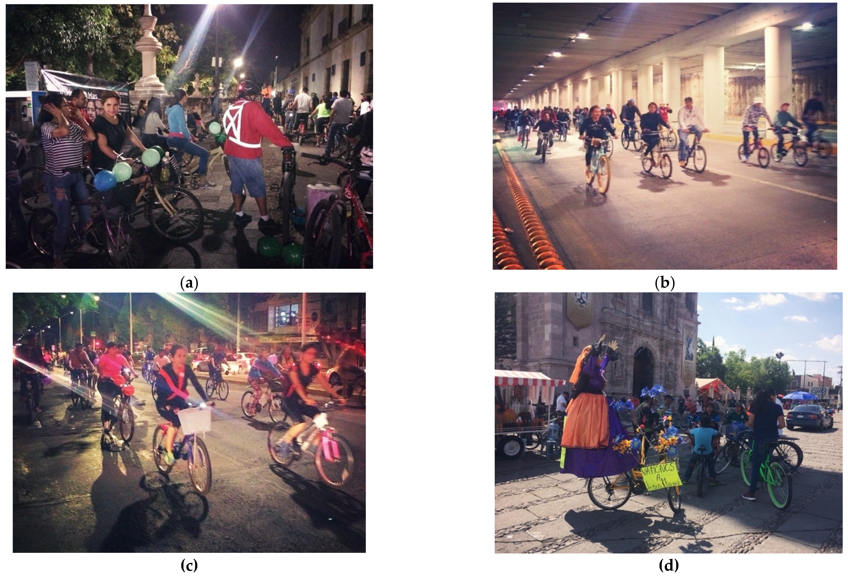 Sustainability 13 08680 g007