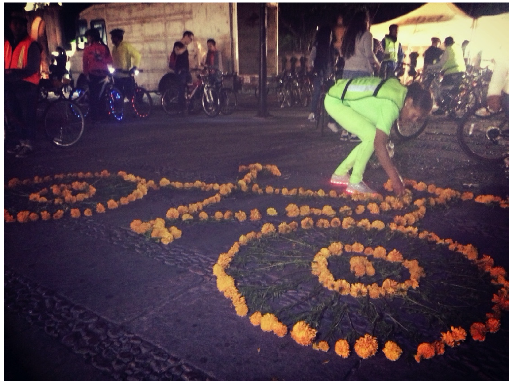 Sustainability 13 08680 g008