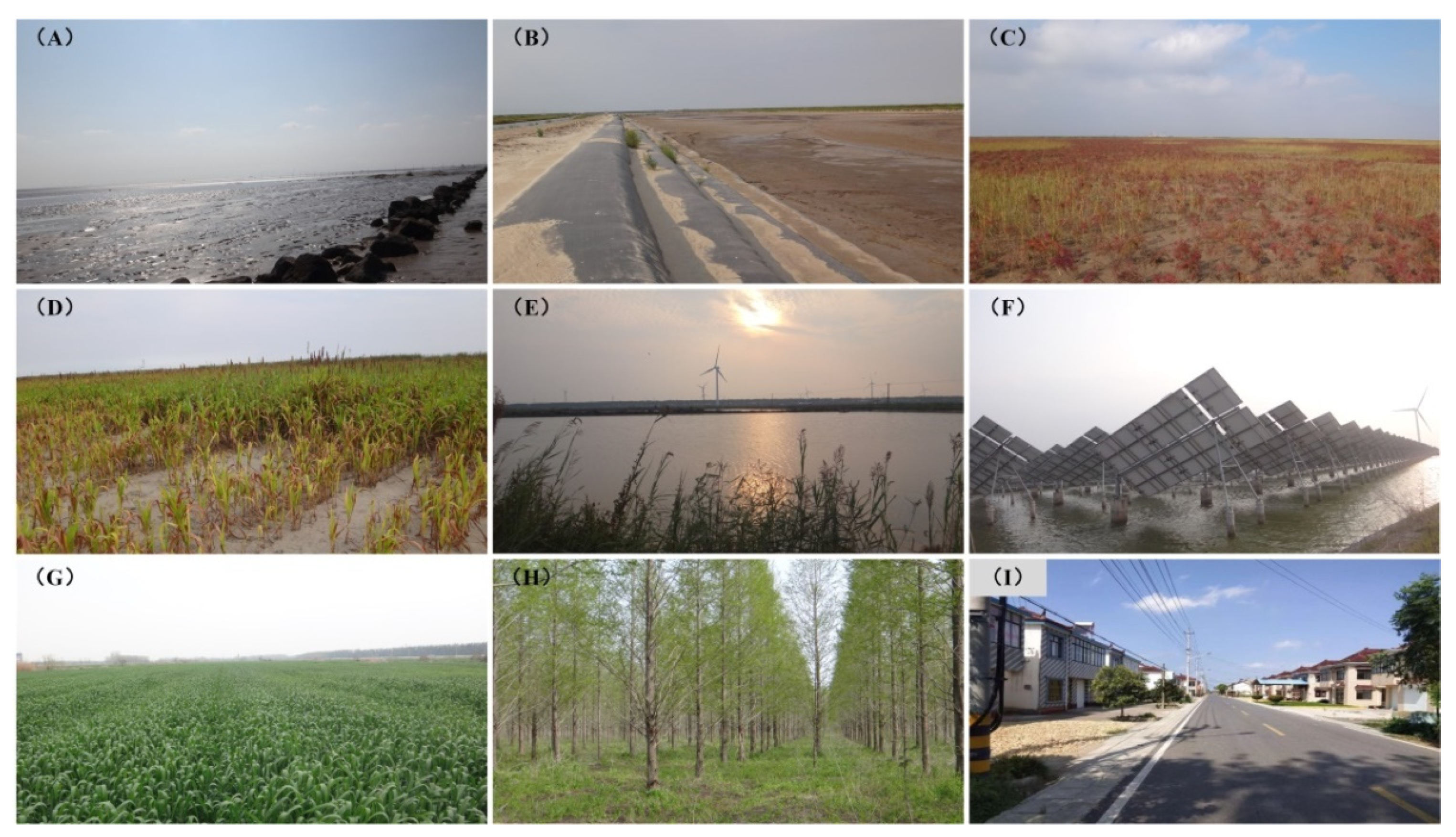 Sustainability 13 08690 g002