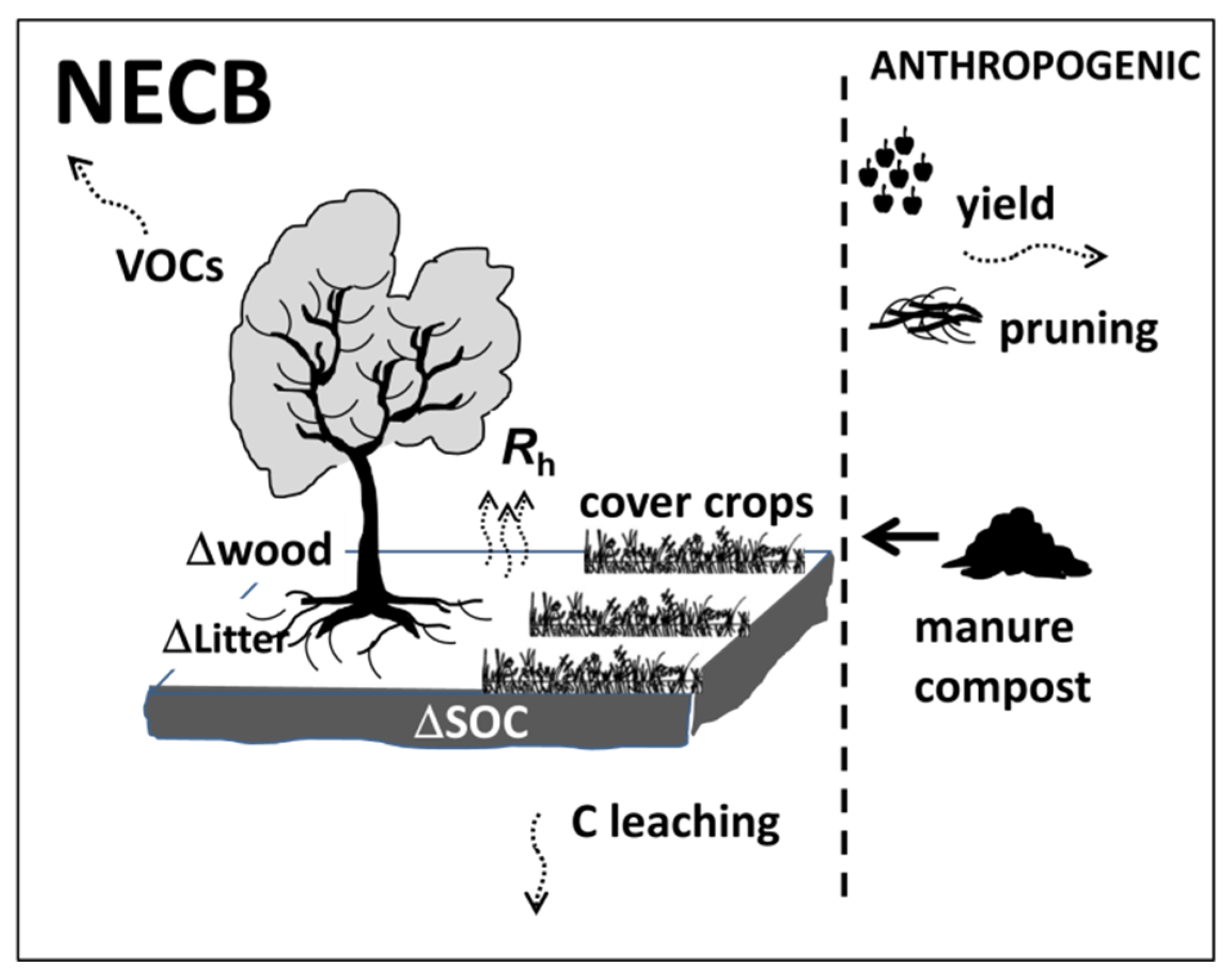 Sustainability 13 08750 g003