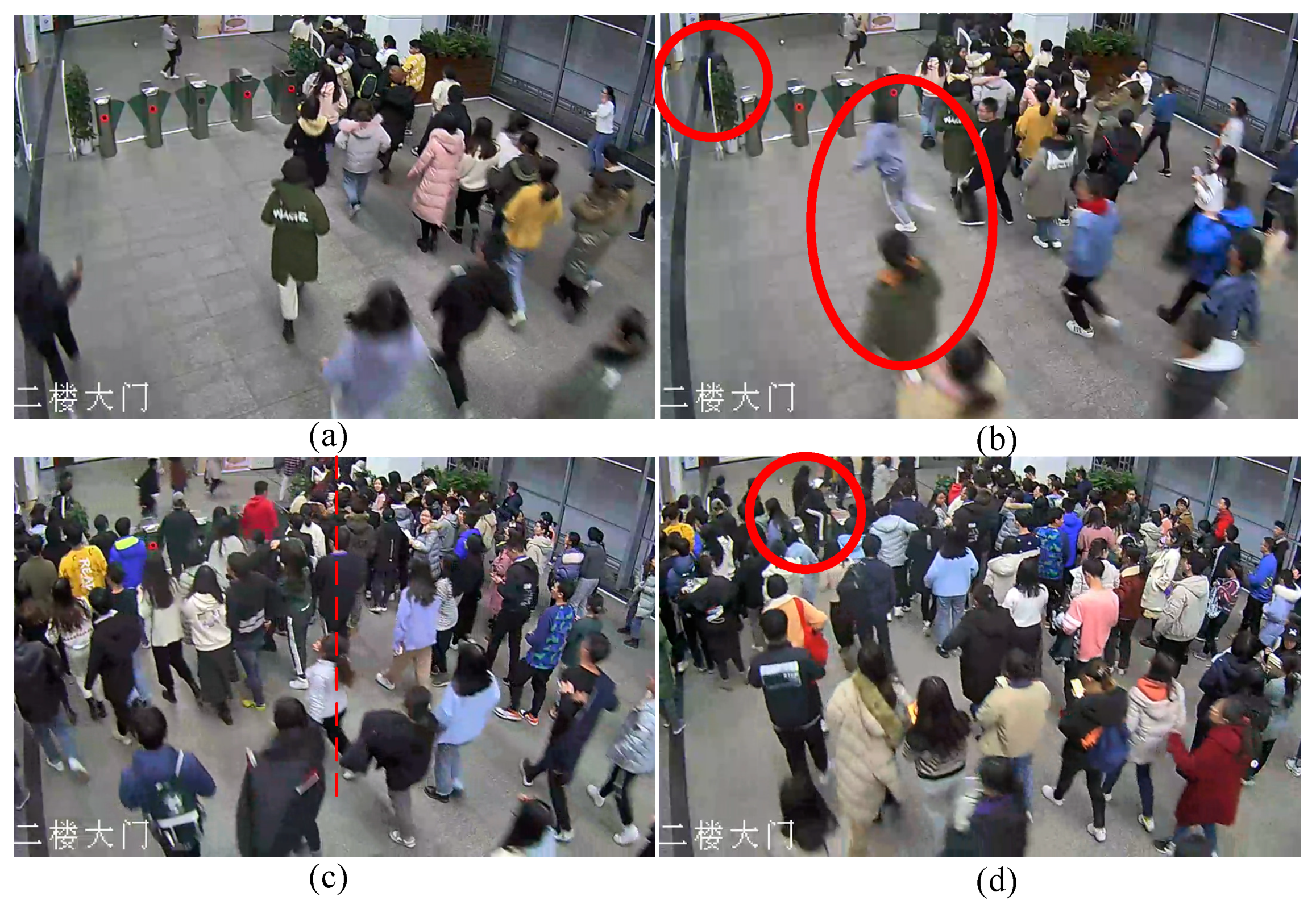 Sustainability 13 08771 g001