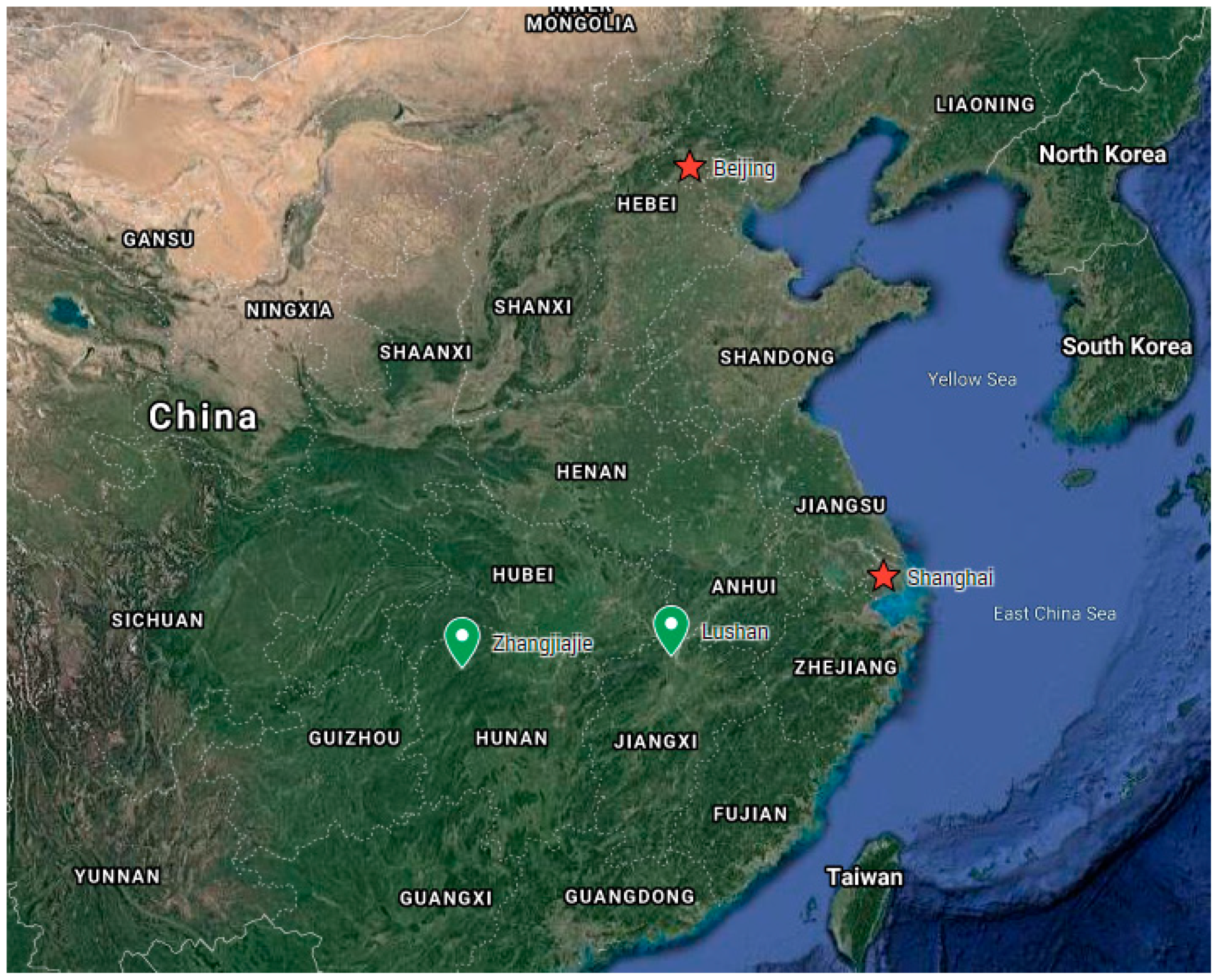 Sustainability 13 08774 g001