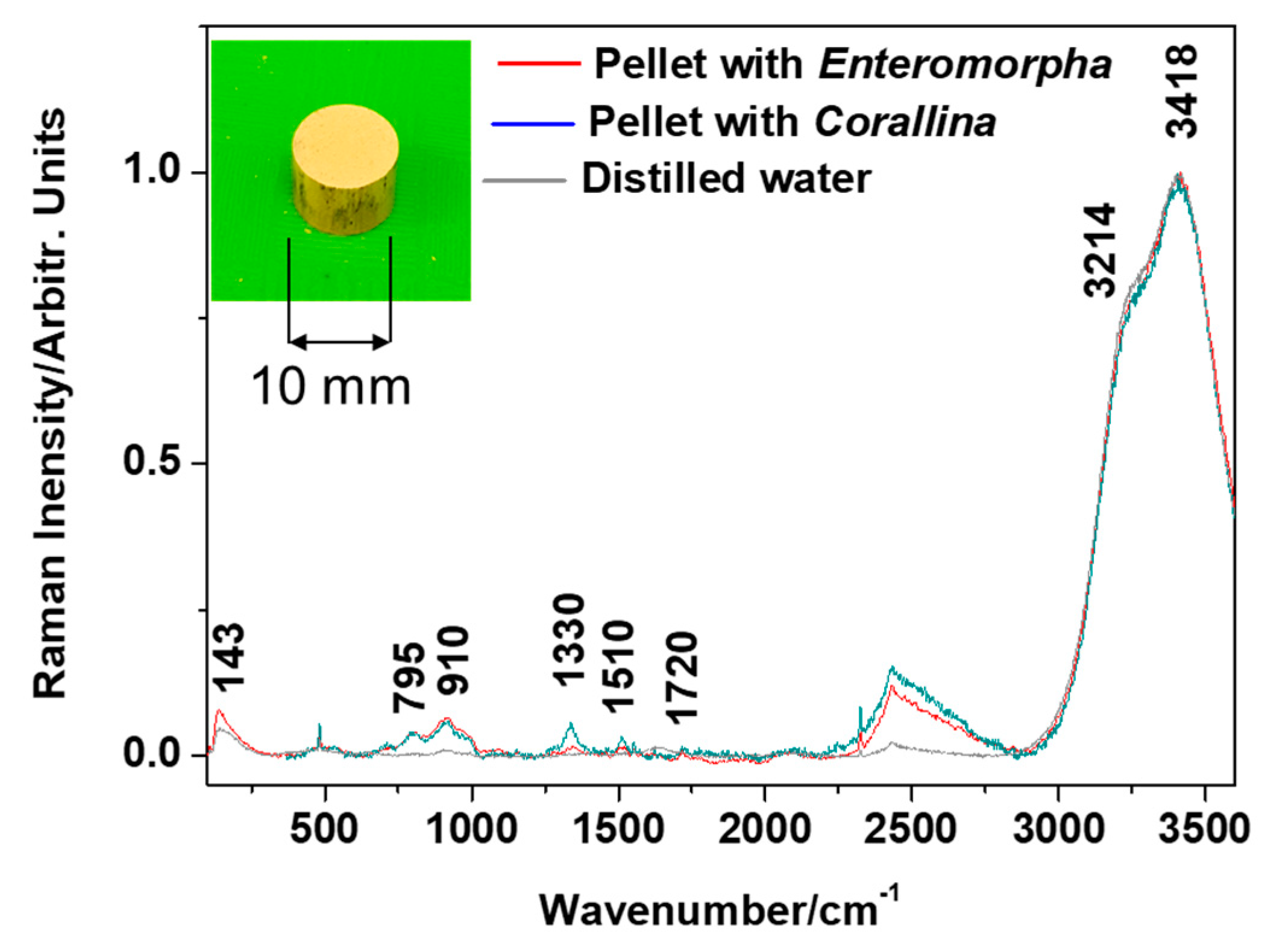 Sustainability 13 08777 g005