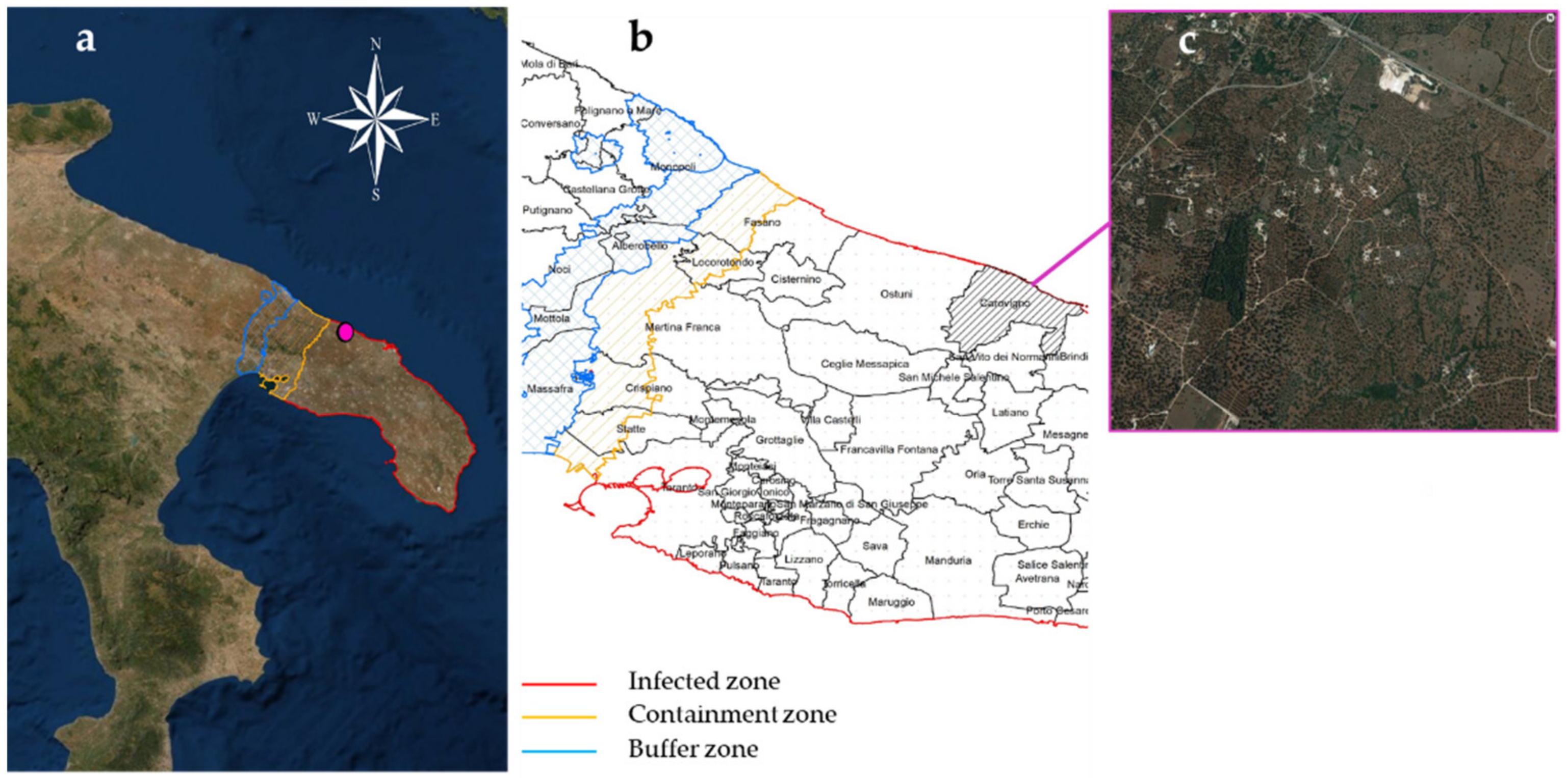Sustainability 13 08778 g001