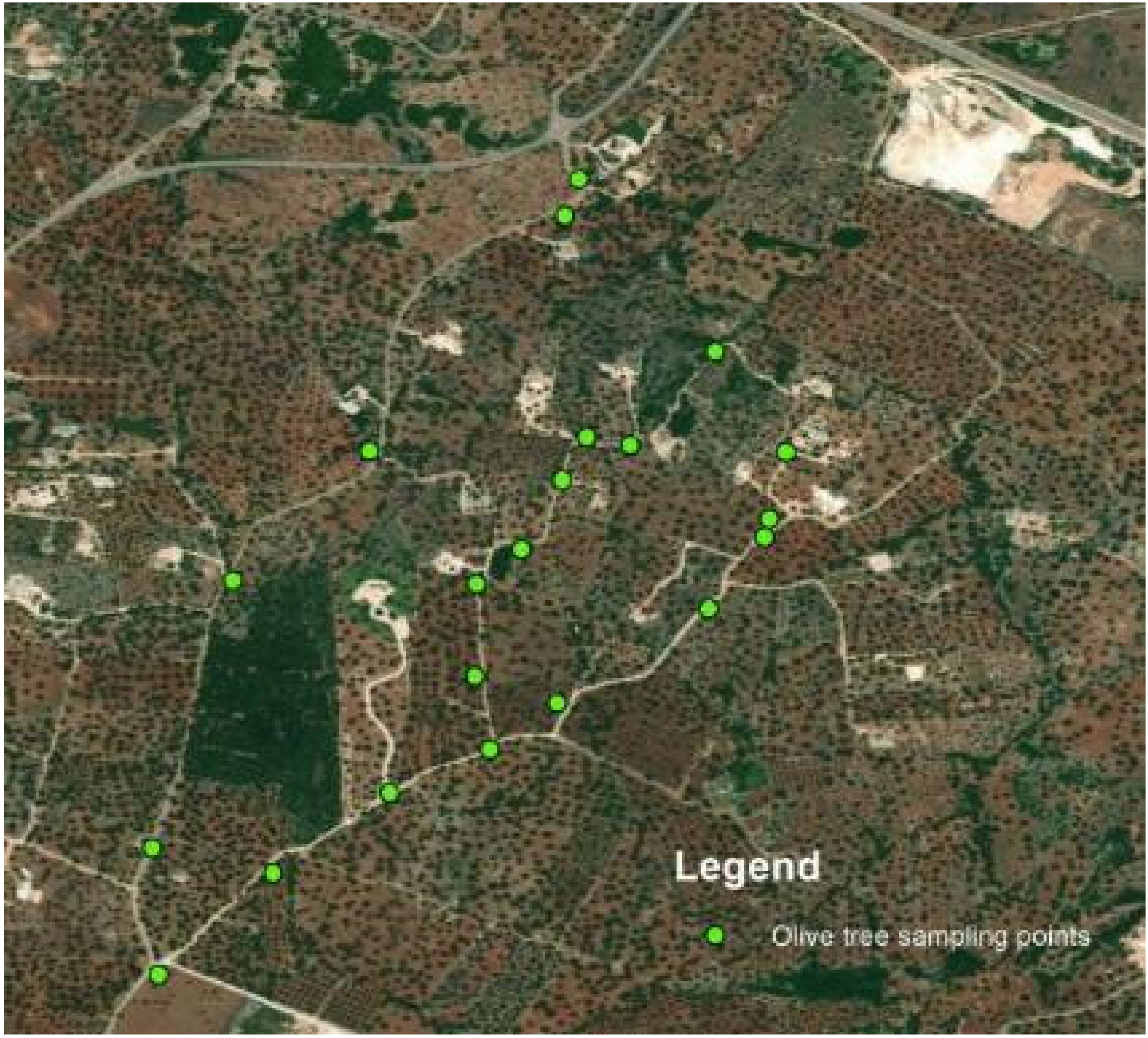 Sustainability 13 08778 g003