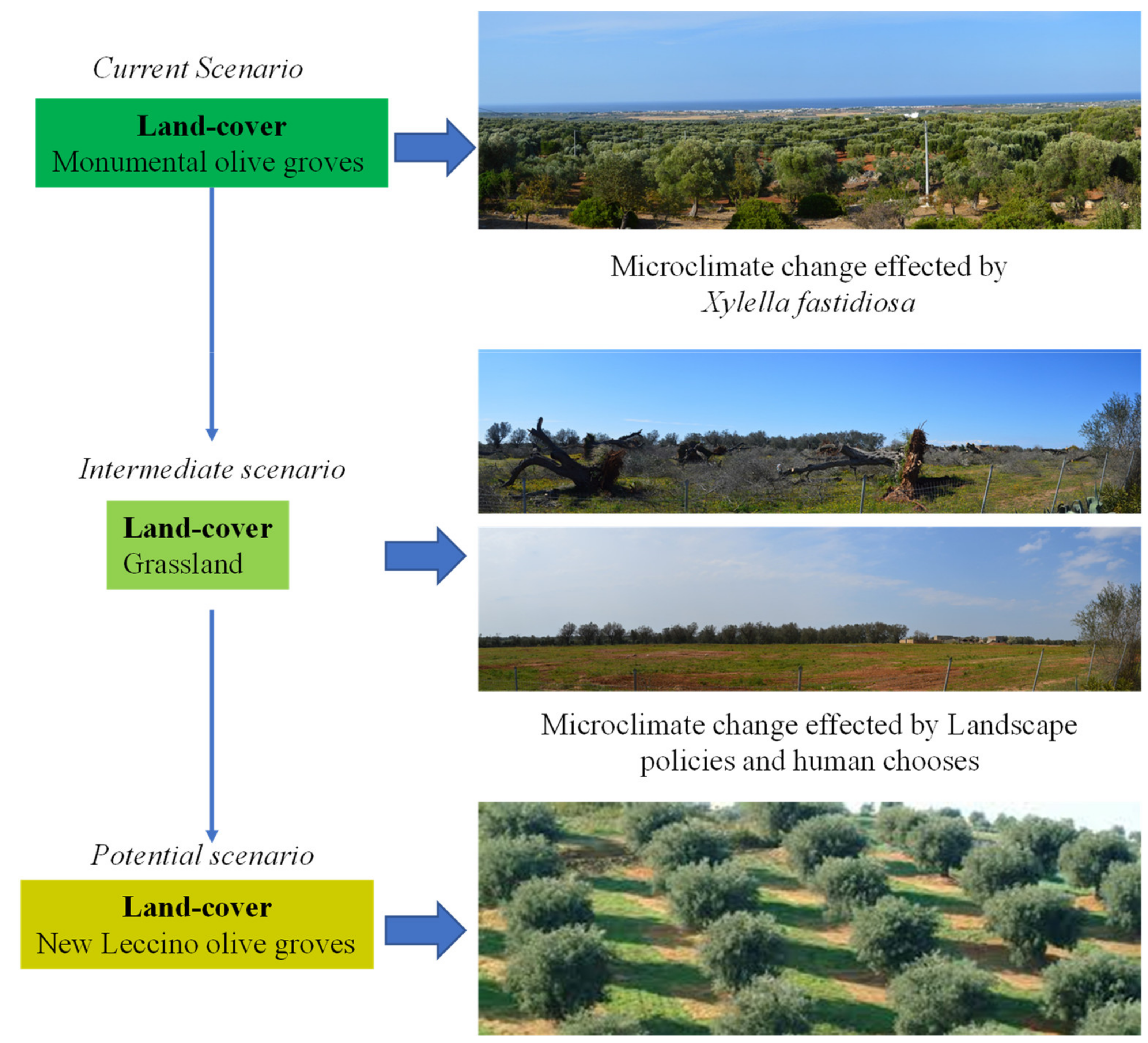 Sustainability 13 08778 g004