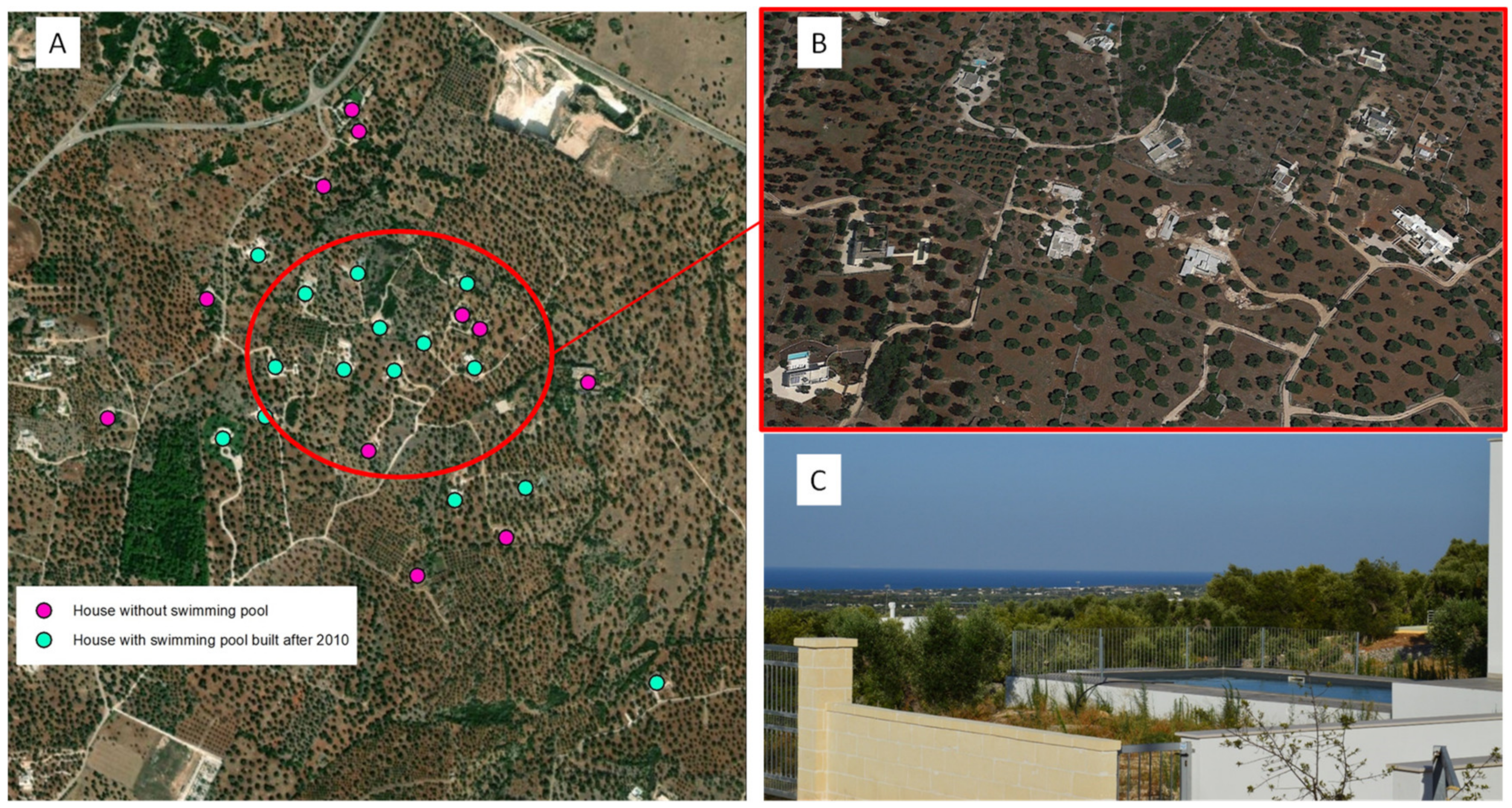 Sustainability 13 08778 g007