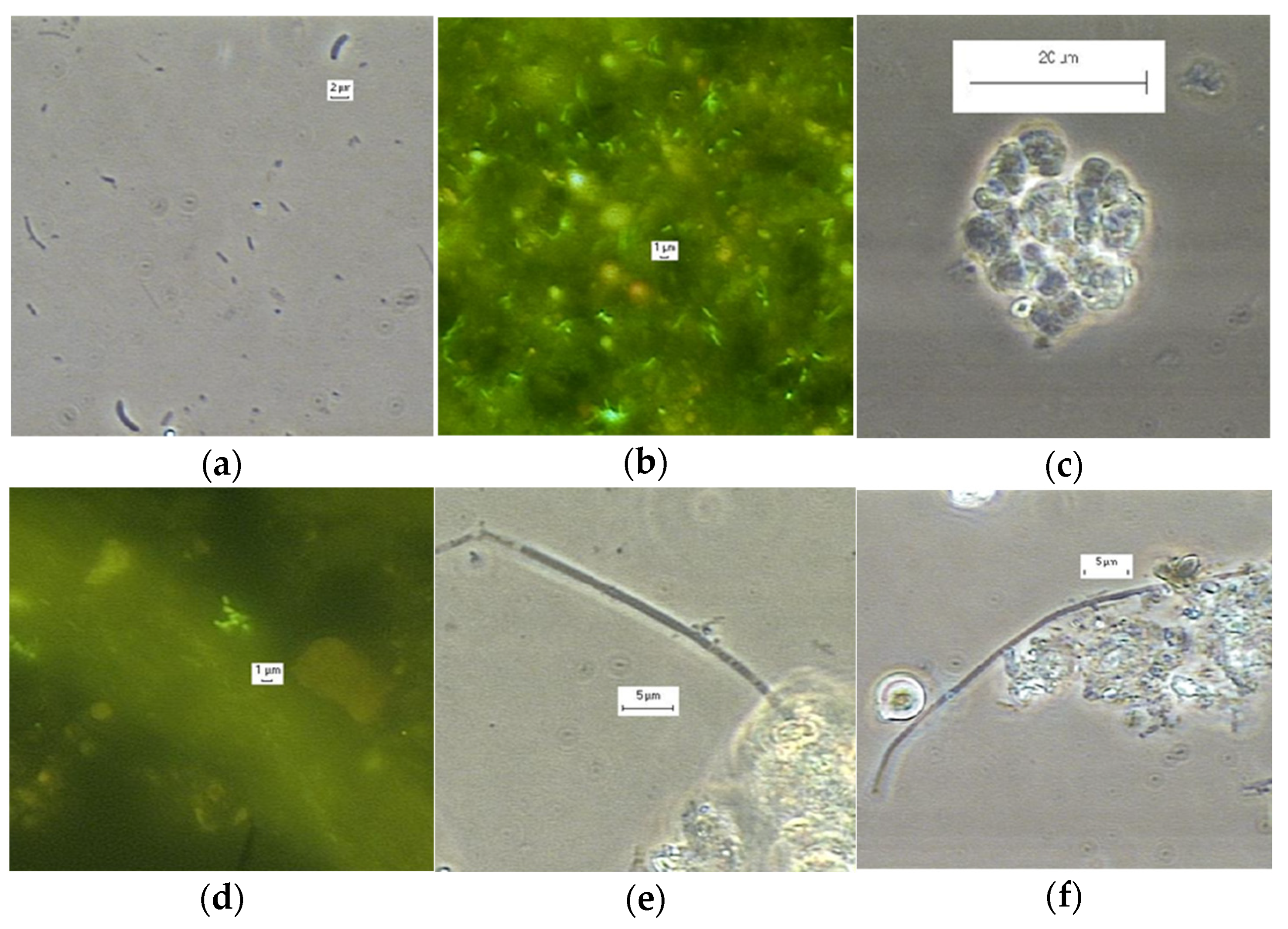 Sustainability 13 08783 g004