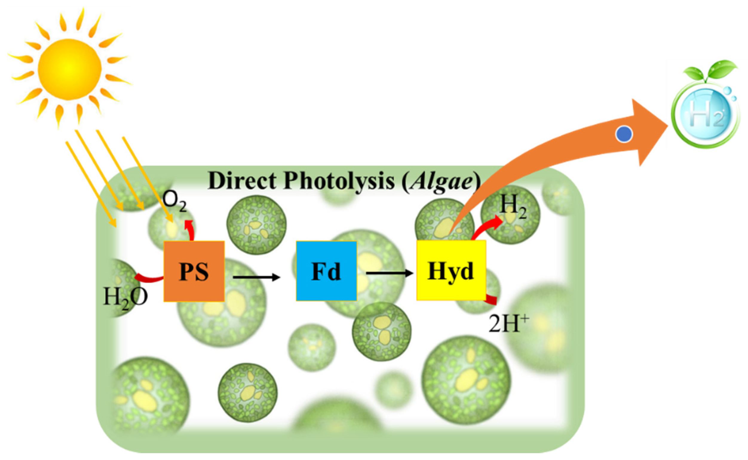 Sustainability 13 08796 g001