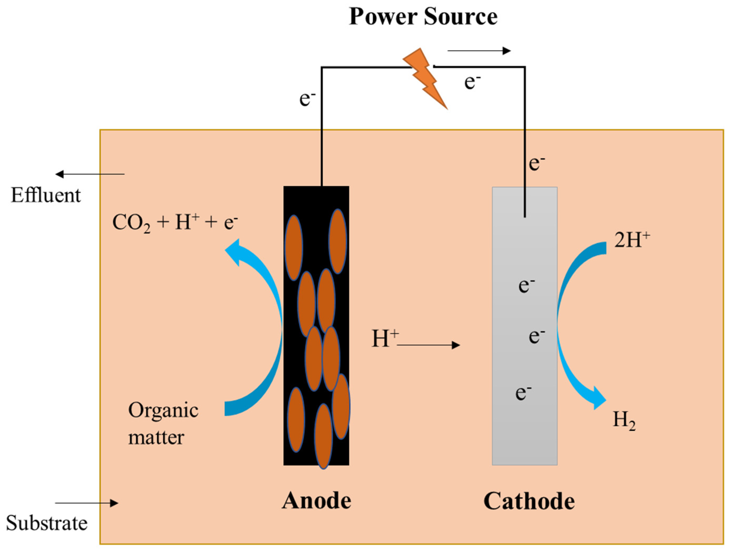 Sustainability 13 08796 g004