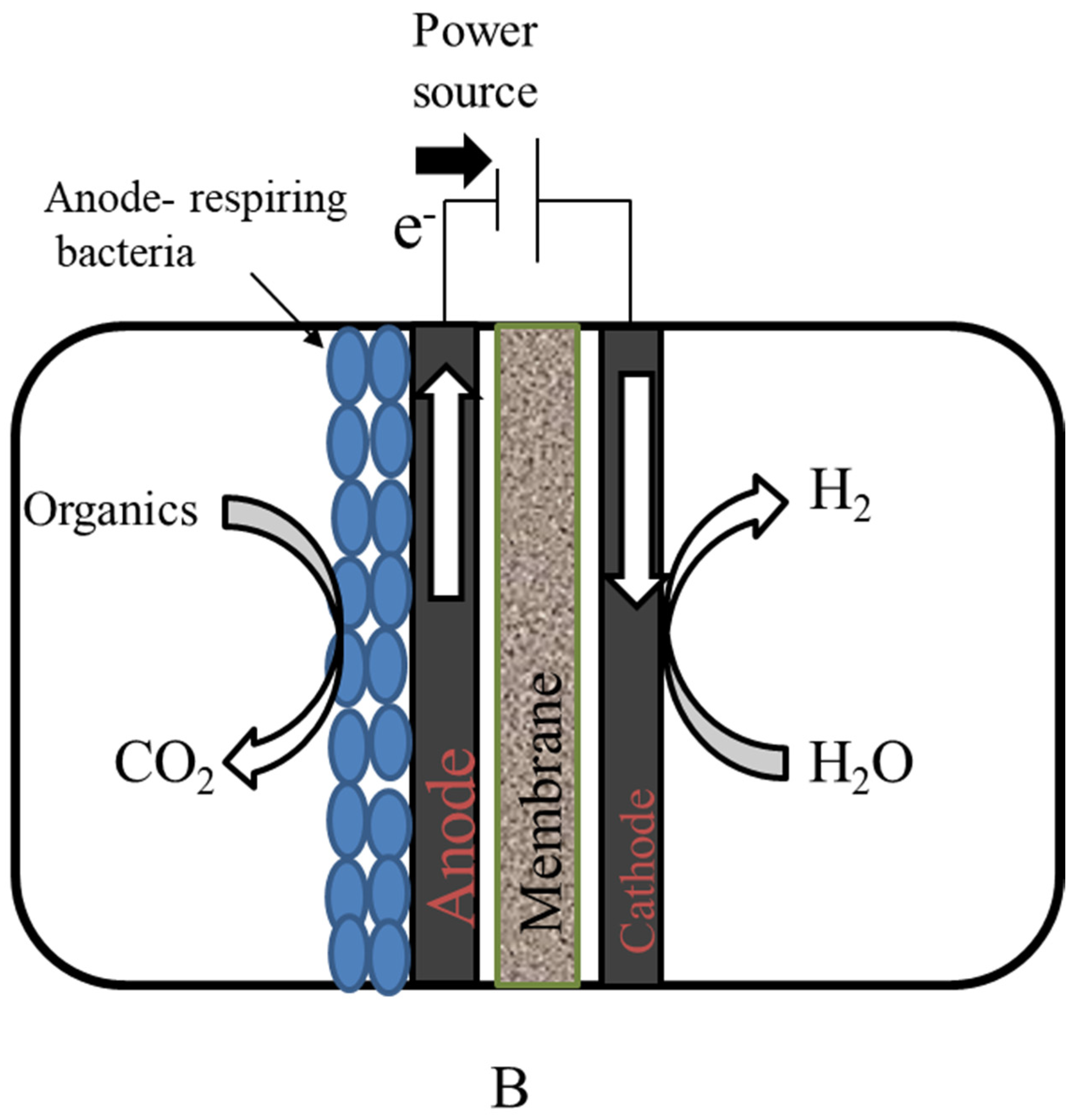 Sustainability 13 08796 g007b