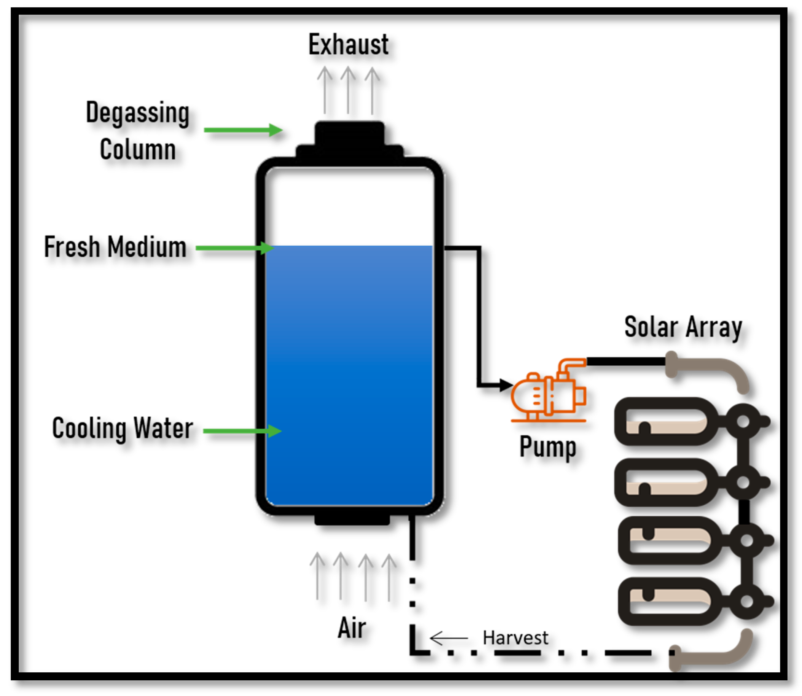 Sustainability 13 08797 g003