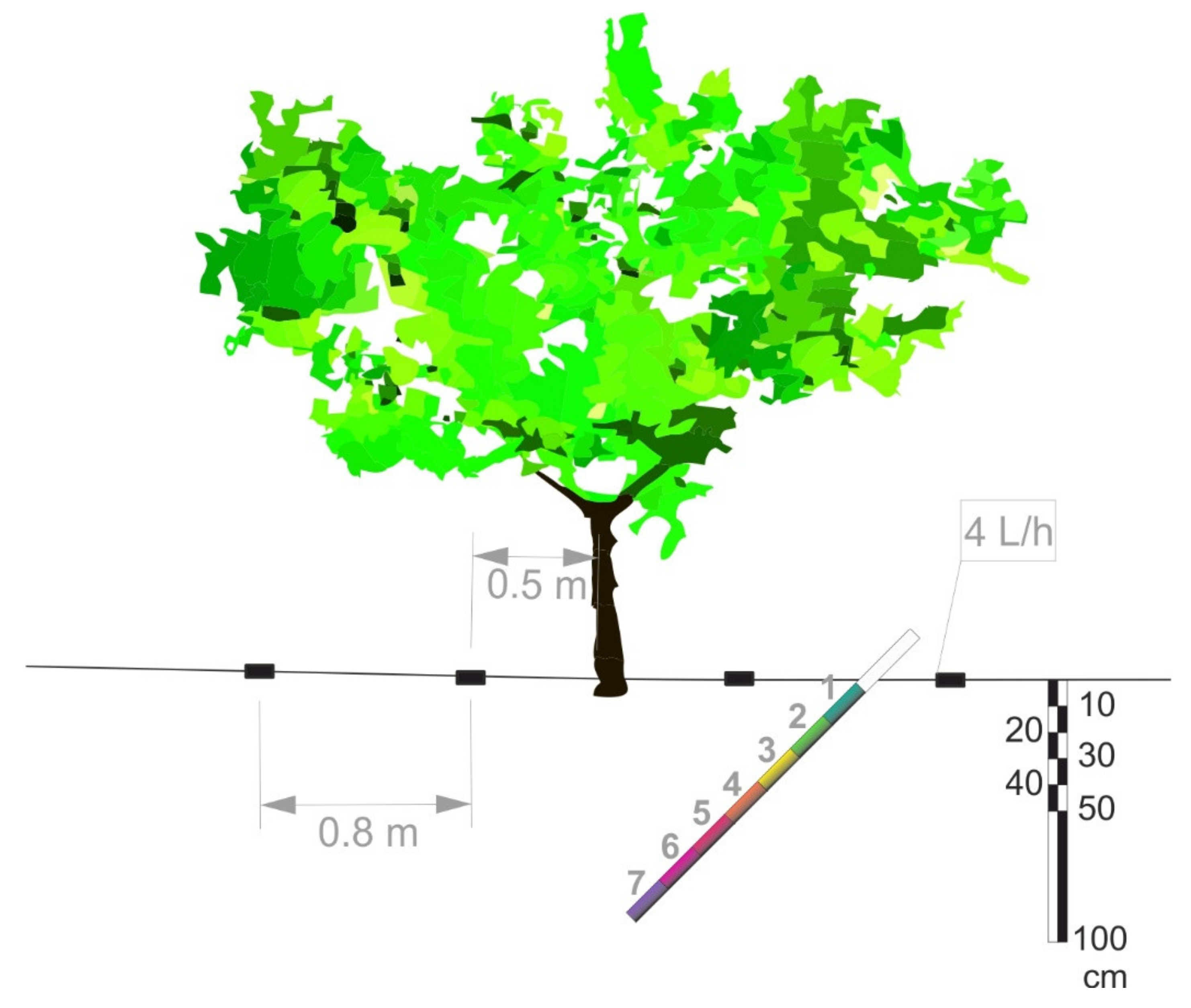 Sustainability 13 08804 g001
