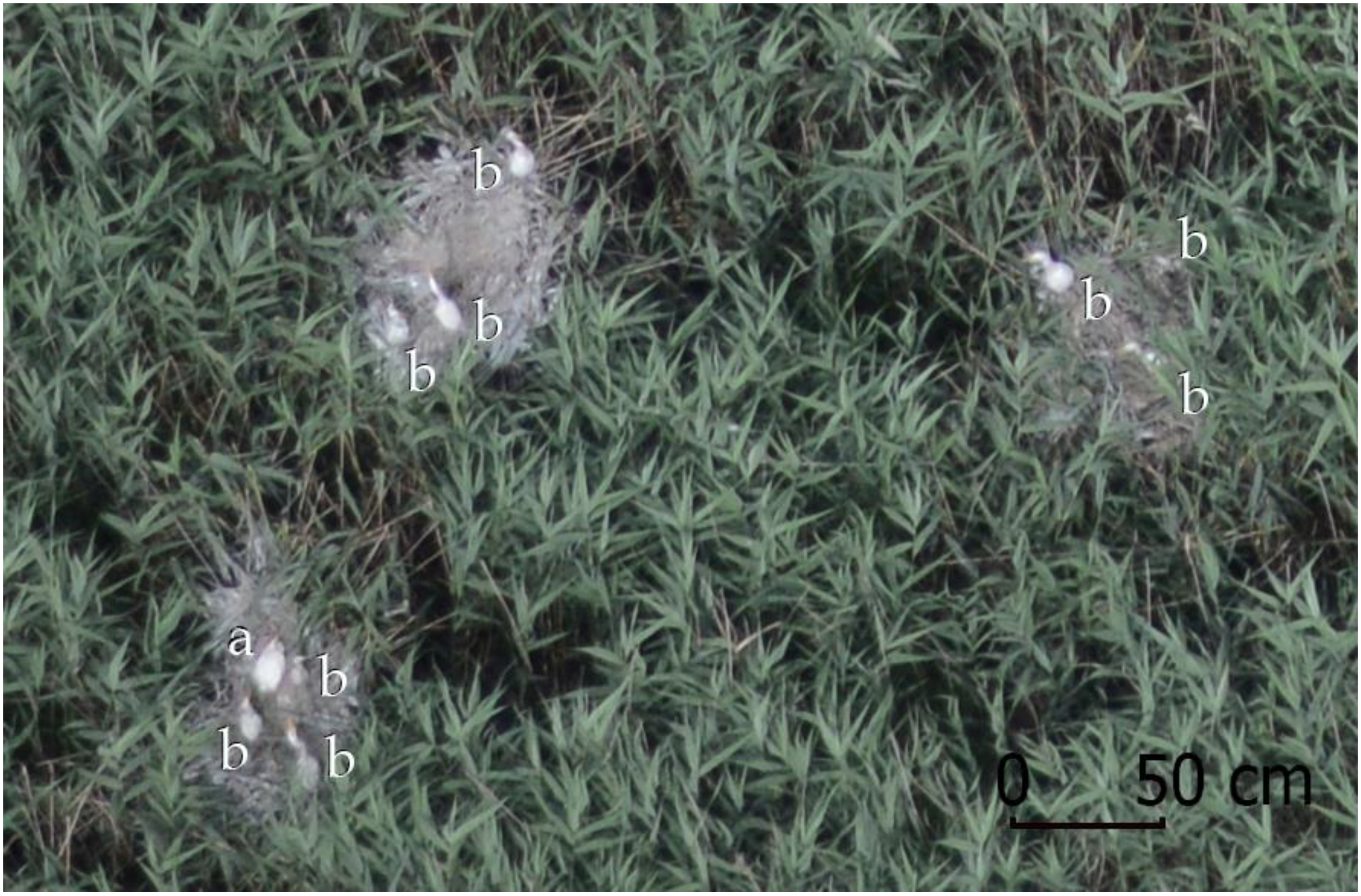 Sustainability 13 08807 g001