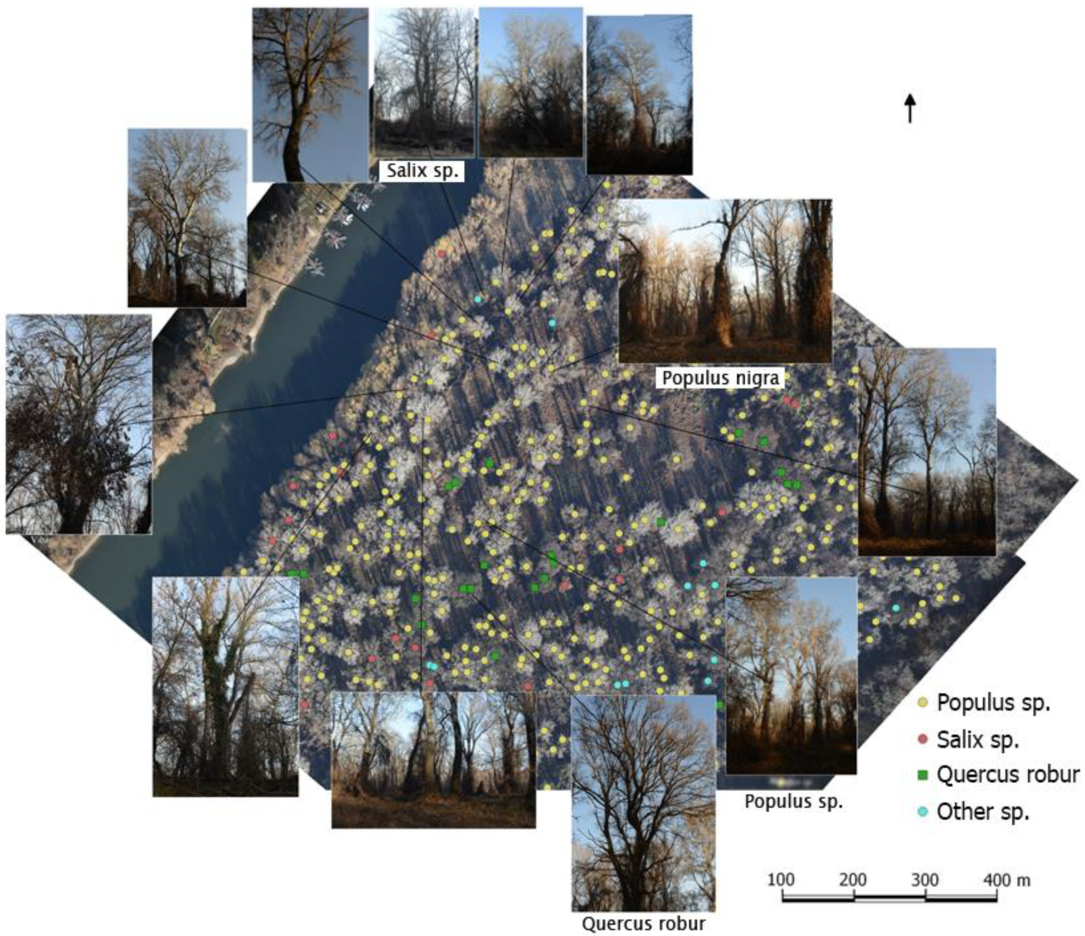 Sustainability 13 08807 g002