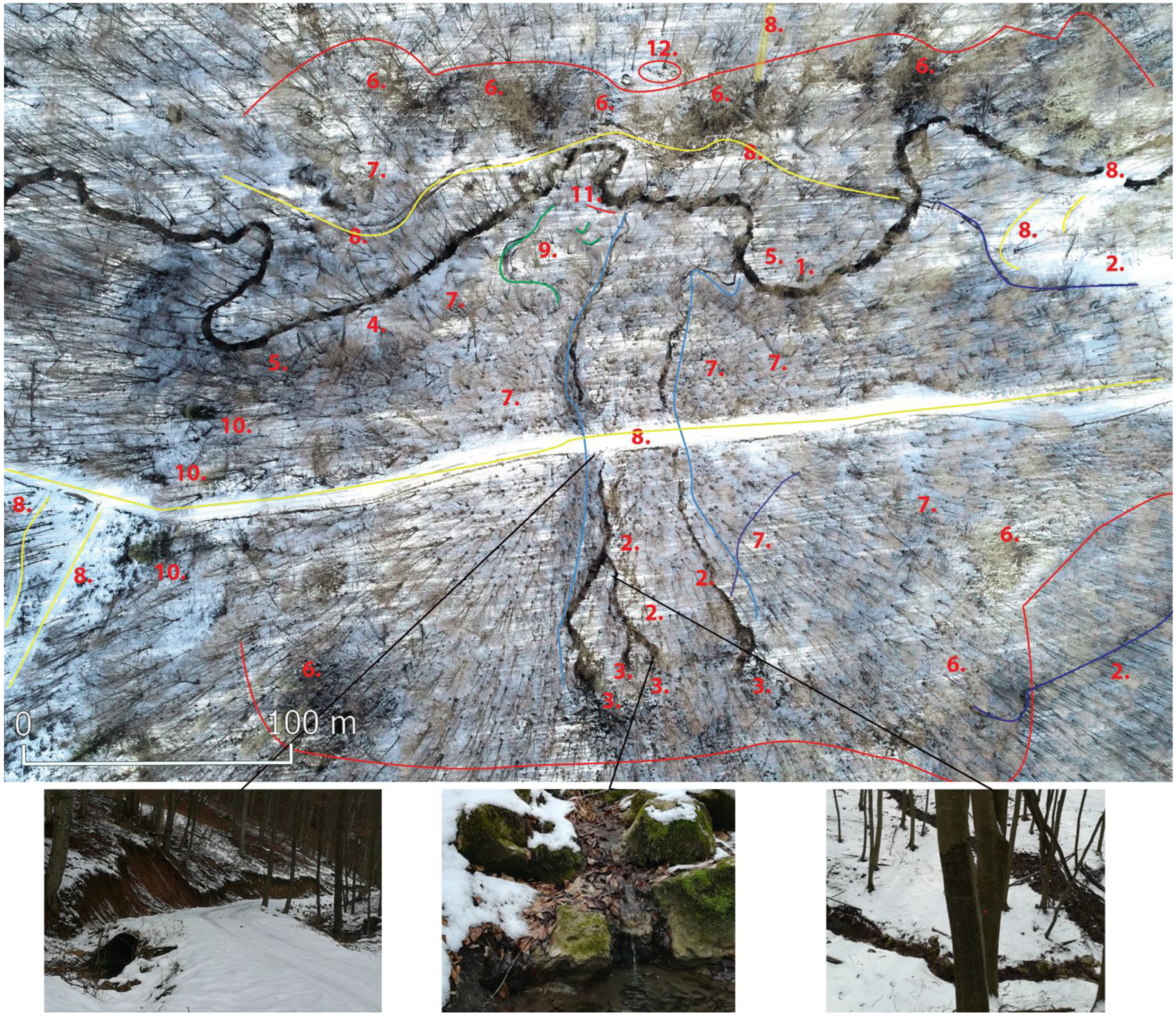 Sustainability 13 08807 g003