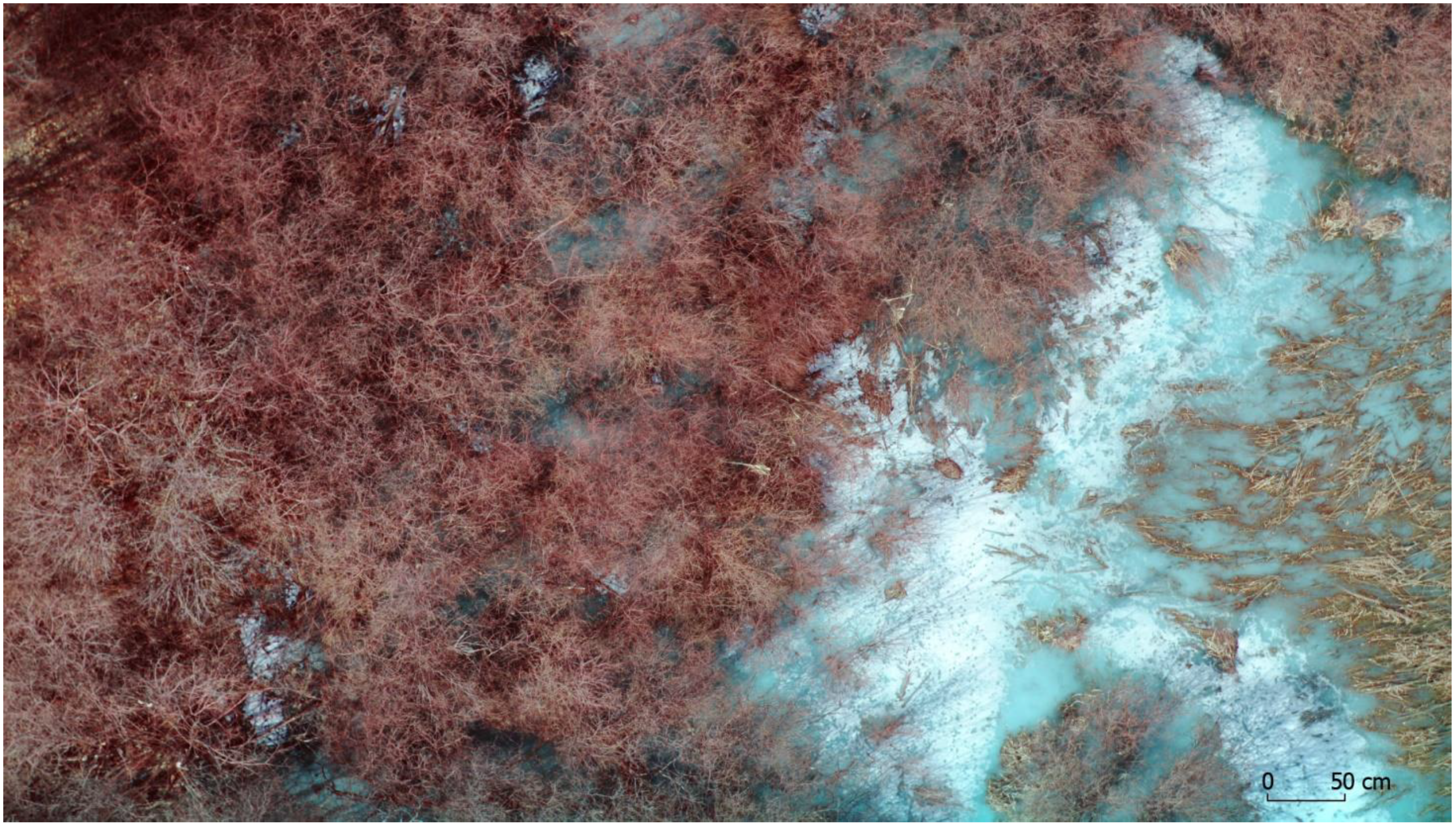 Sustainability 13 08807 g007