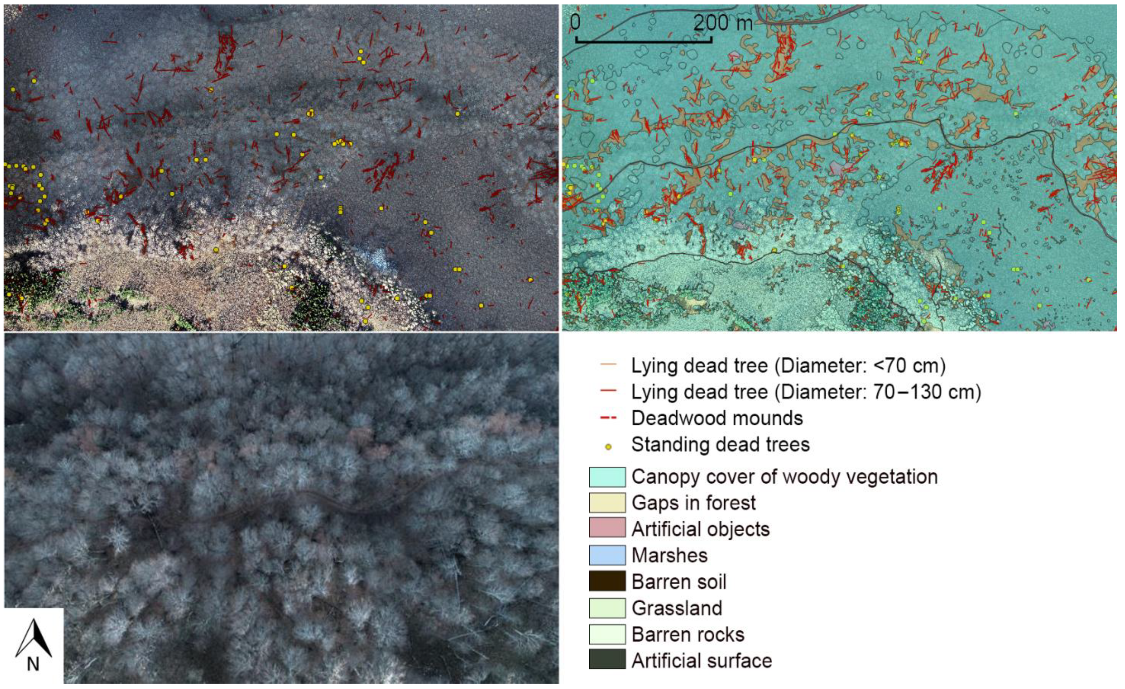 Sustainability 13 08807 g011