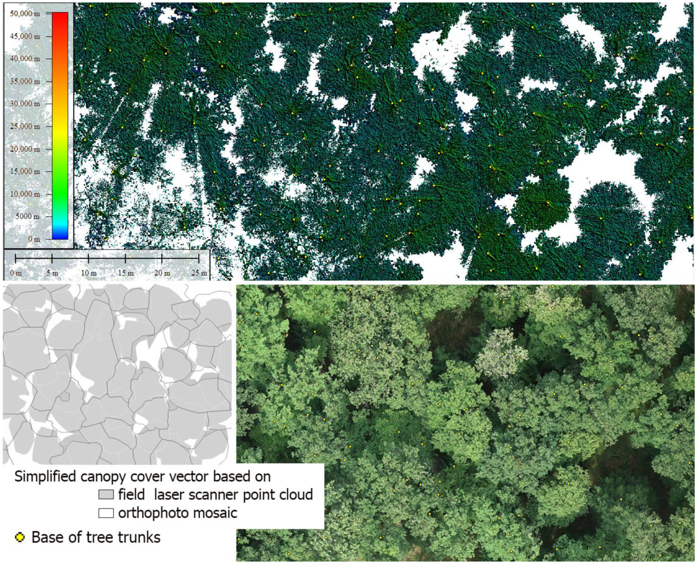 Sustainability 13 08807 g012