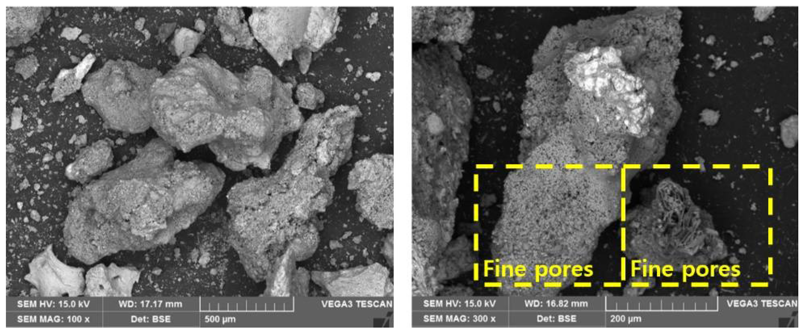 Sustainability 13 08832 g003