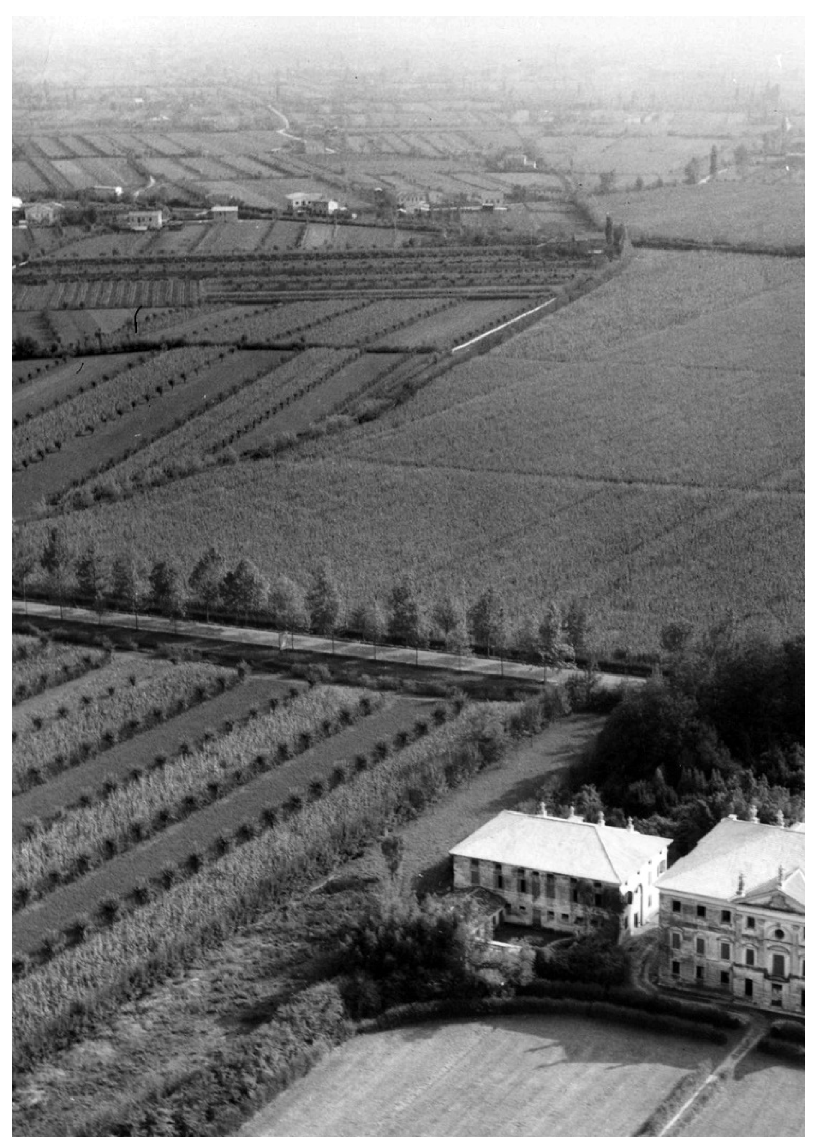 Sustainability 13 08879 g001