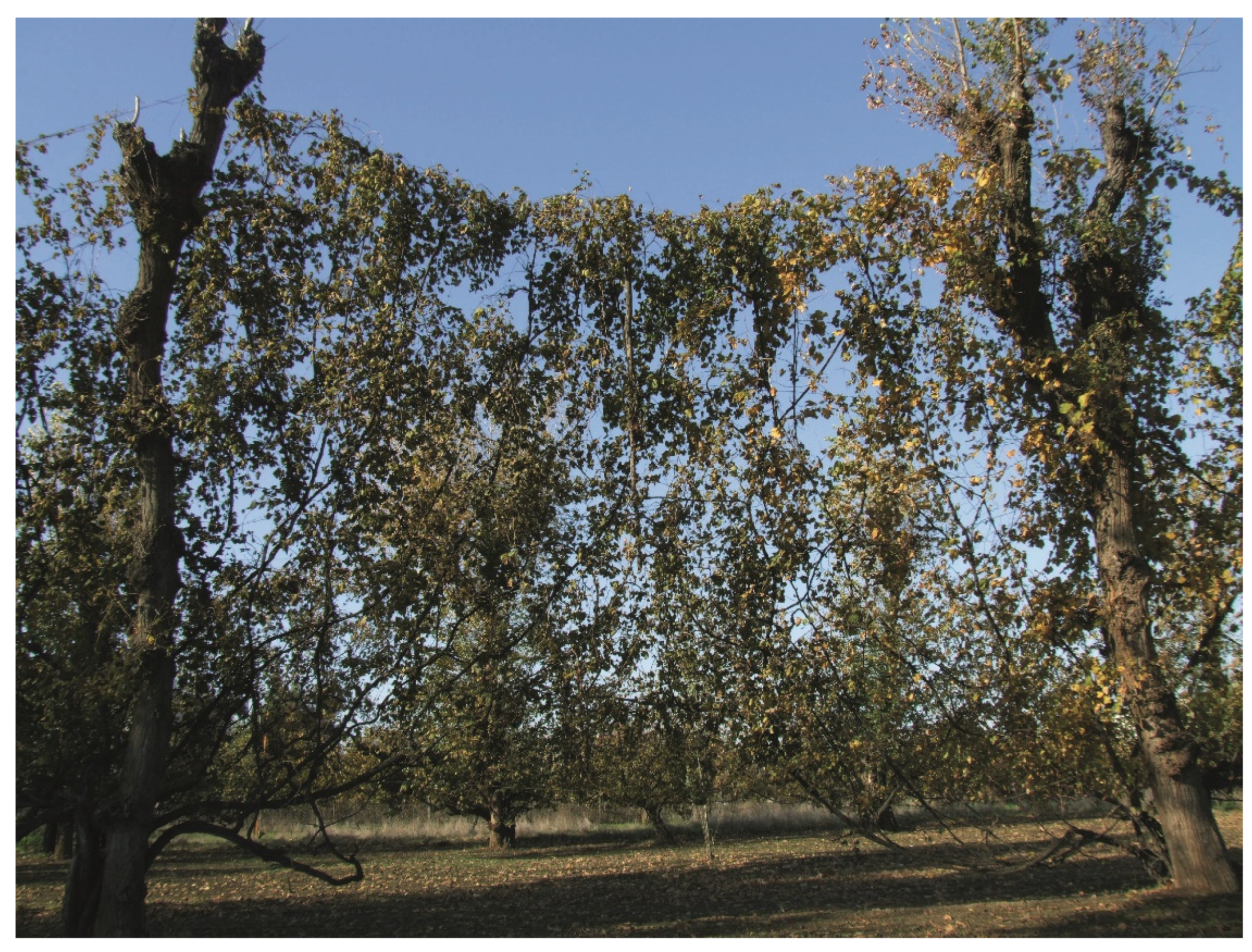 Sustainability 13 08879 g004