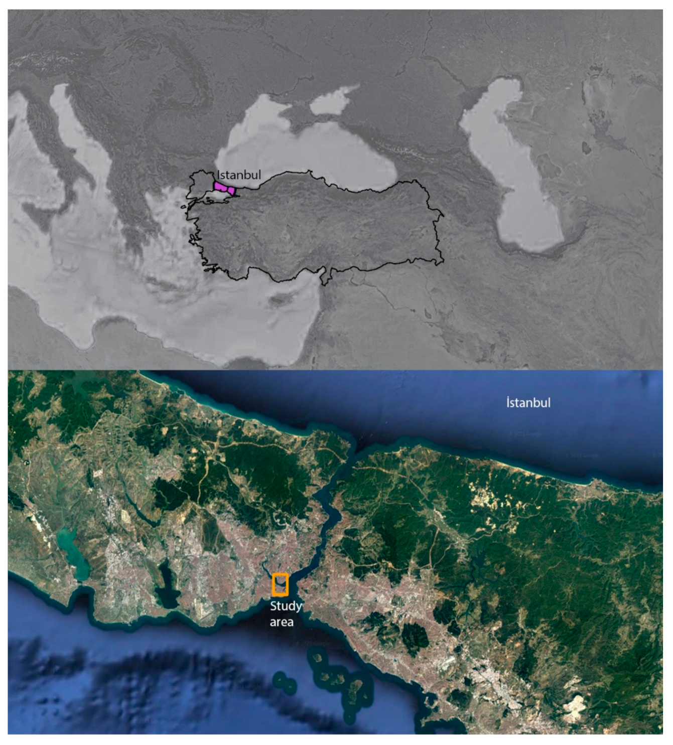 Sustainability 13 08904 g001