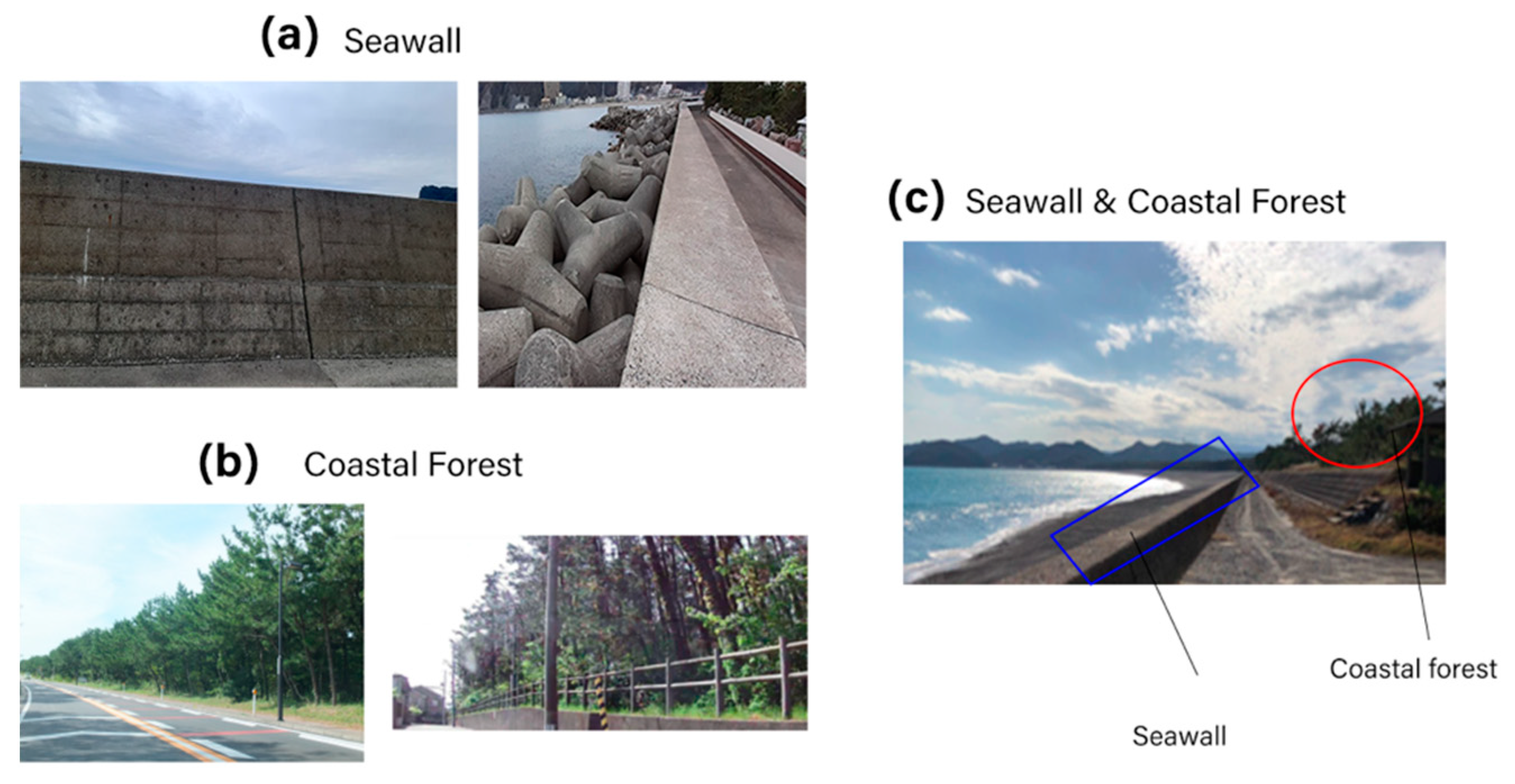 Sustainability 13 08927 g0a4