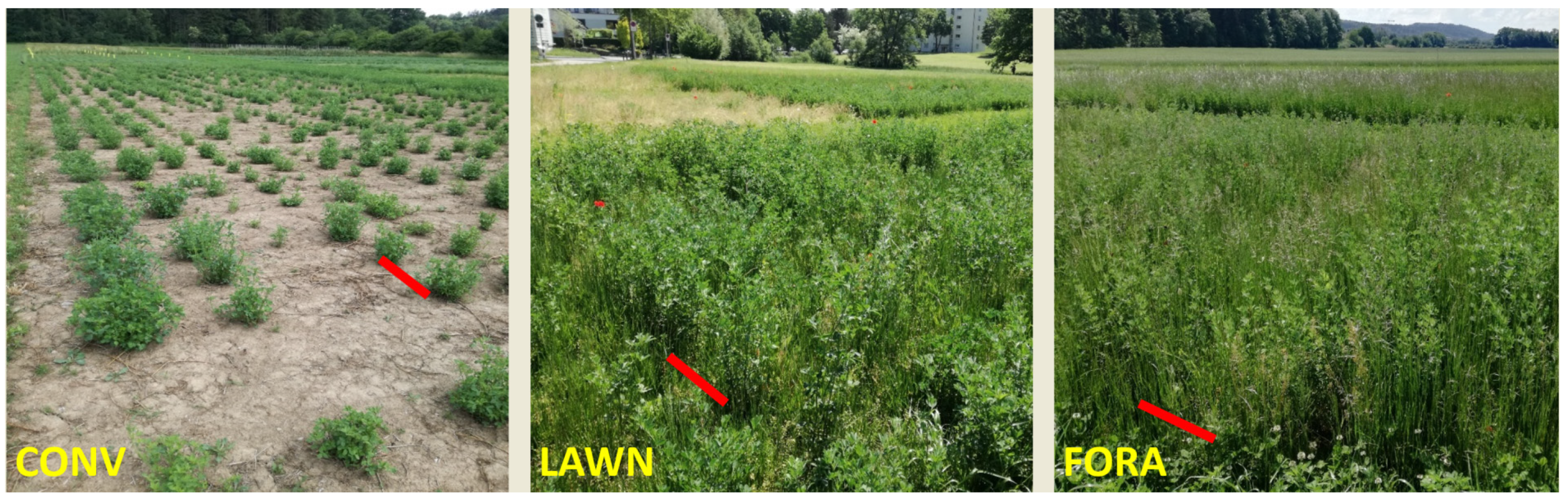 Sustainability 13 08929 g001