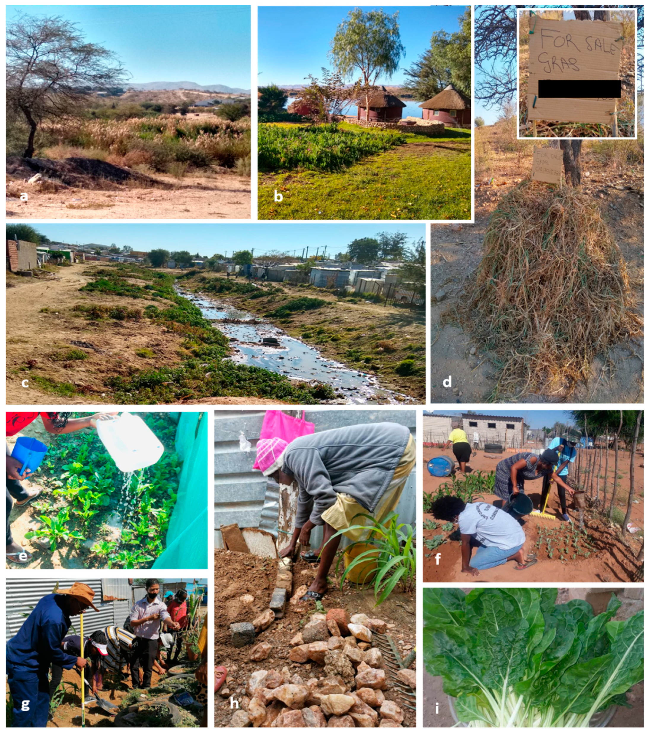 Sustainability 13 08937 g003