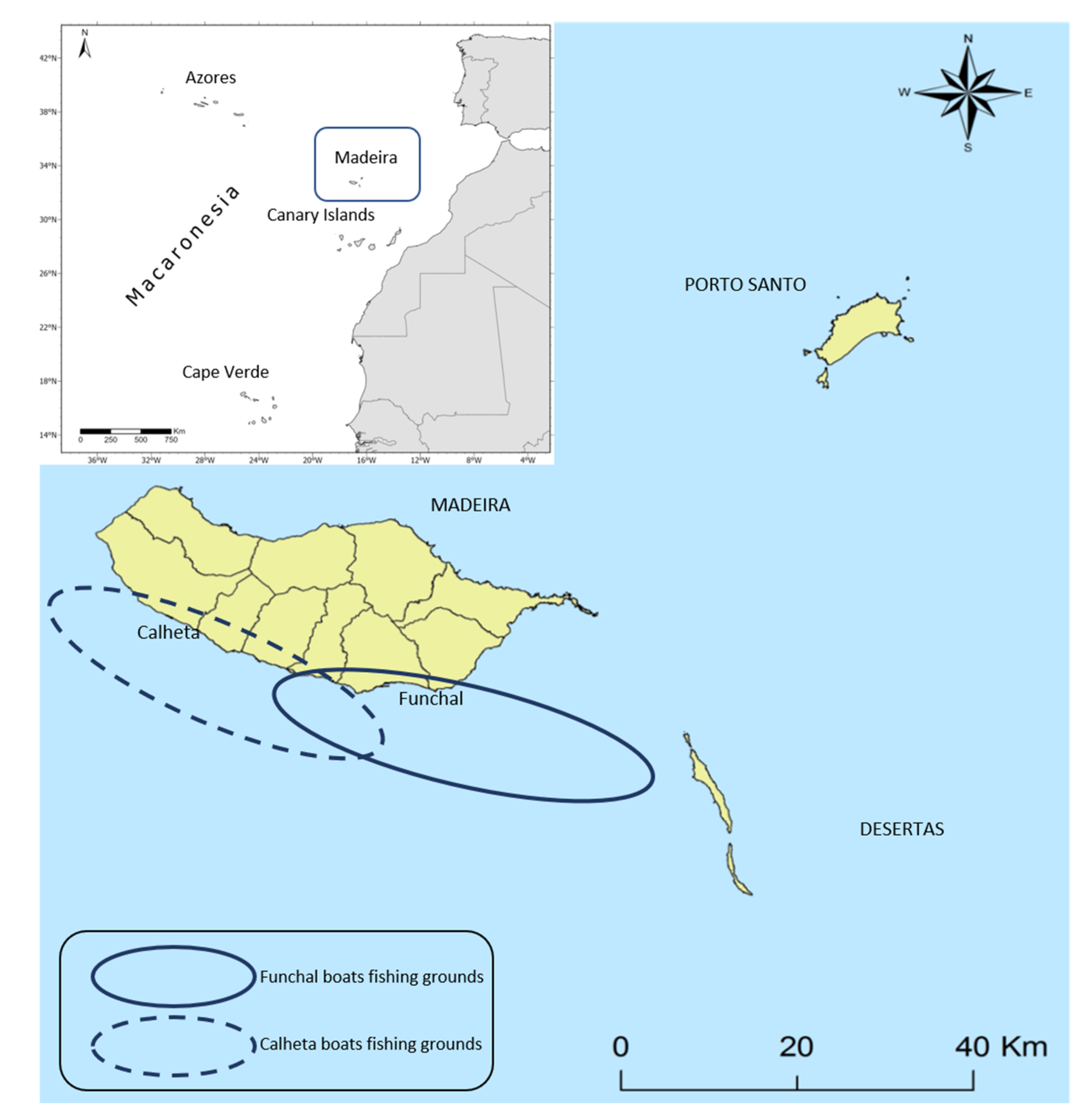 Sustainability 13 08975 g001