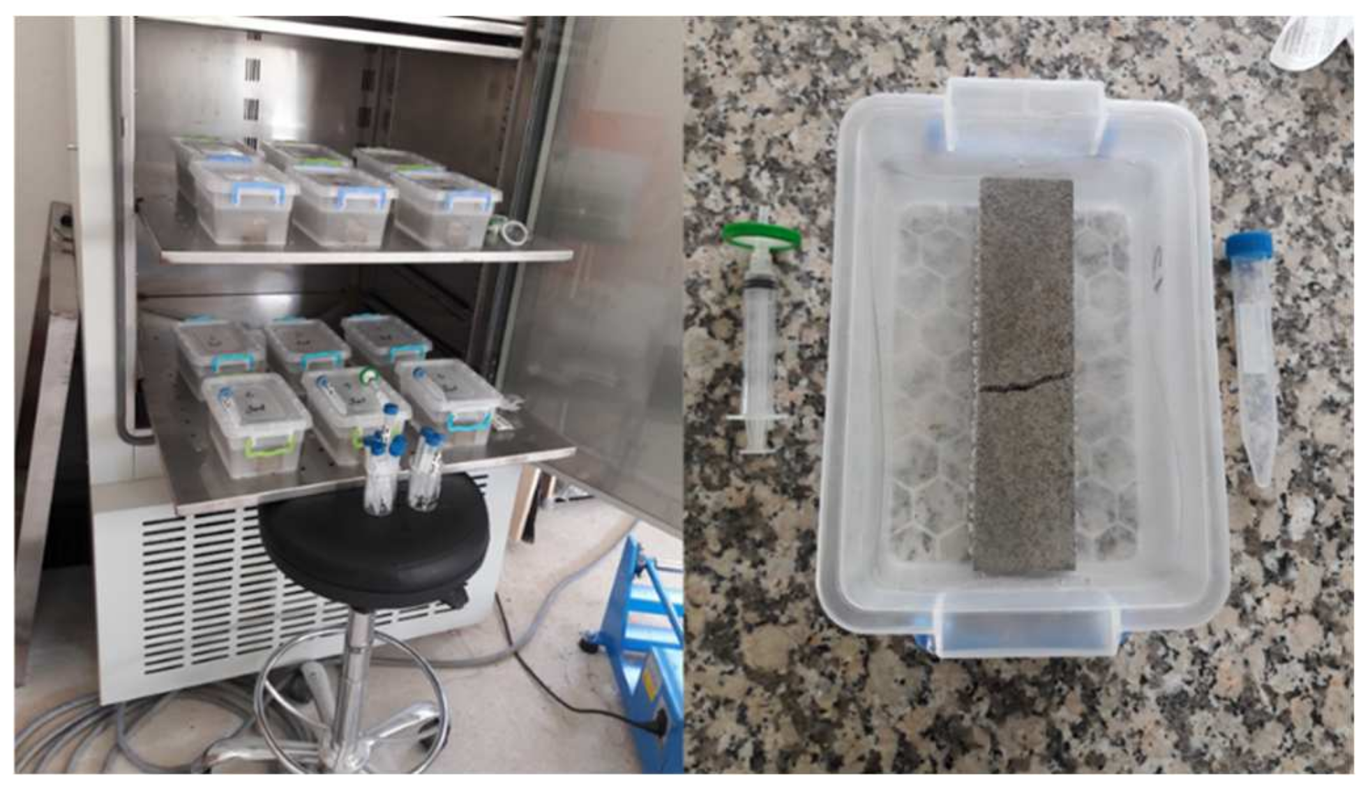 Sustainability 13 08990 g001