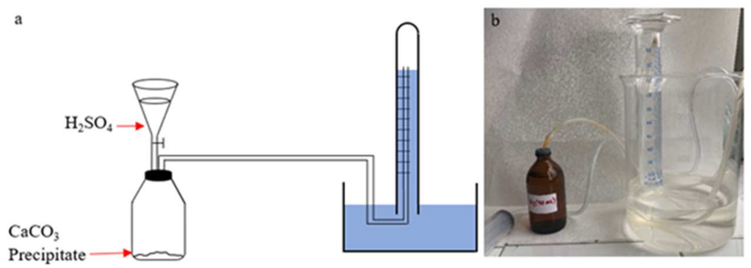 Sustainability 13 08990 g003
