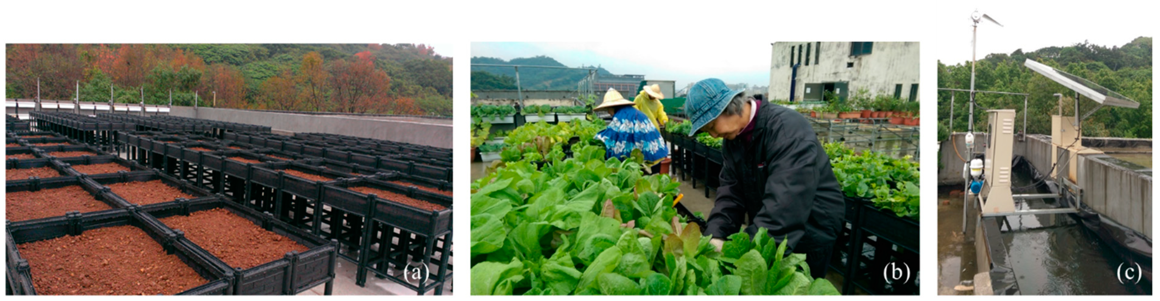 Sustainability 13 09042 g001