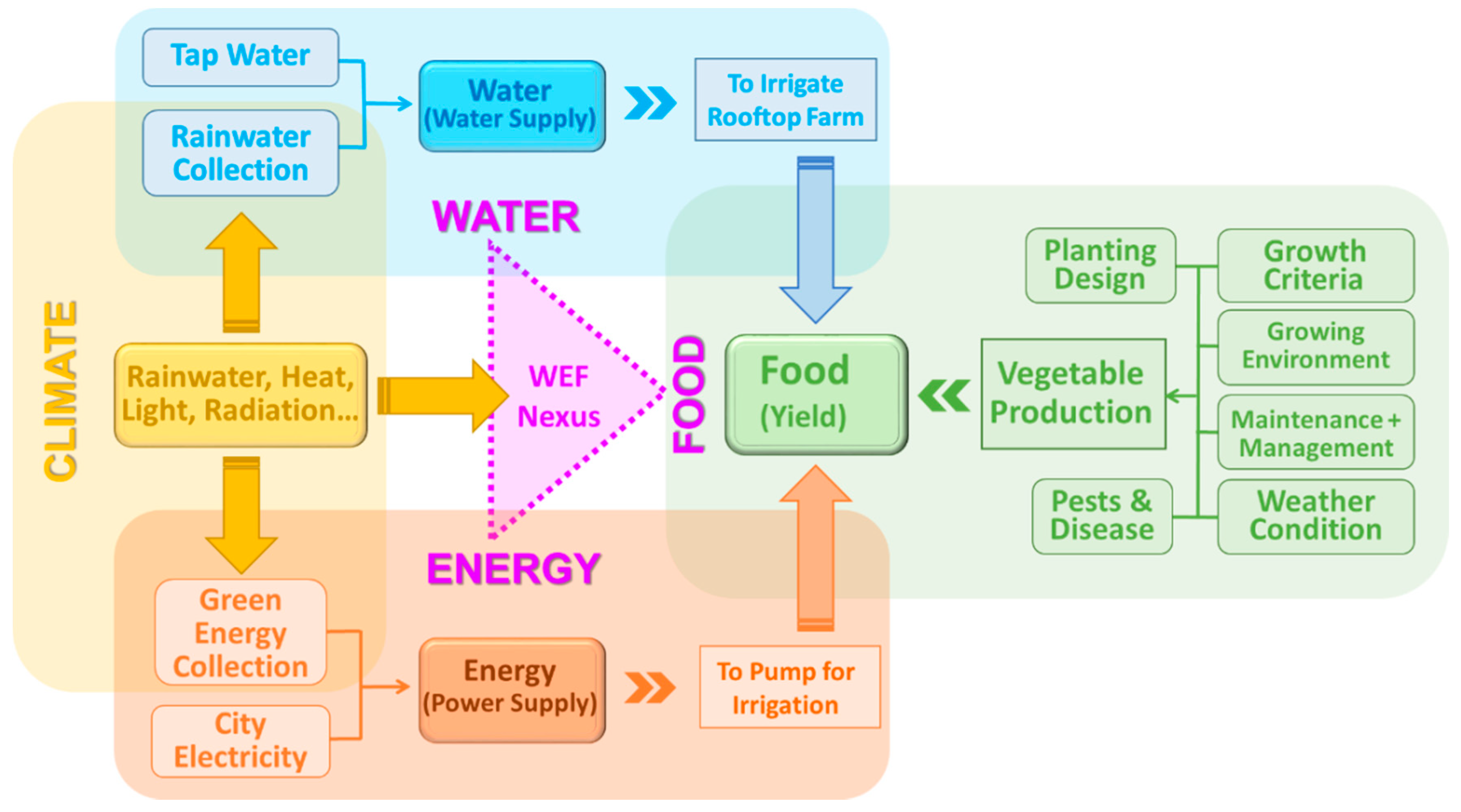 Sustainability 13 09042 g002