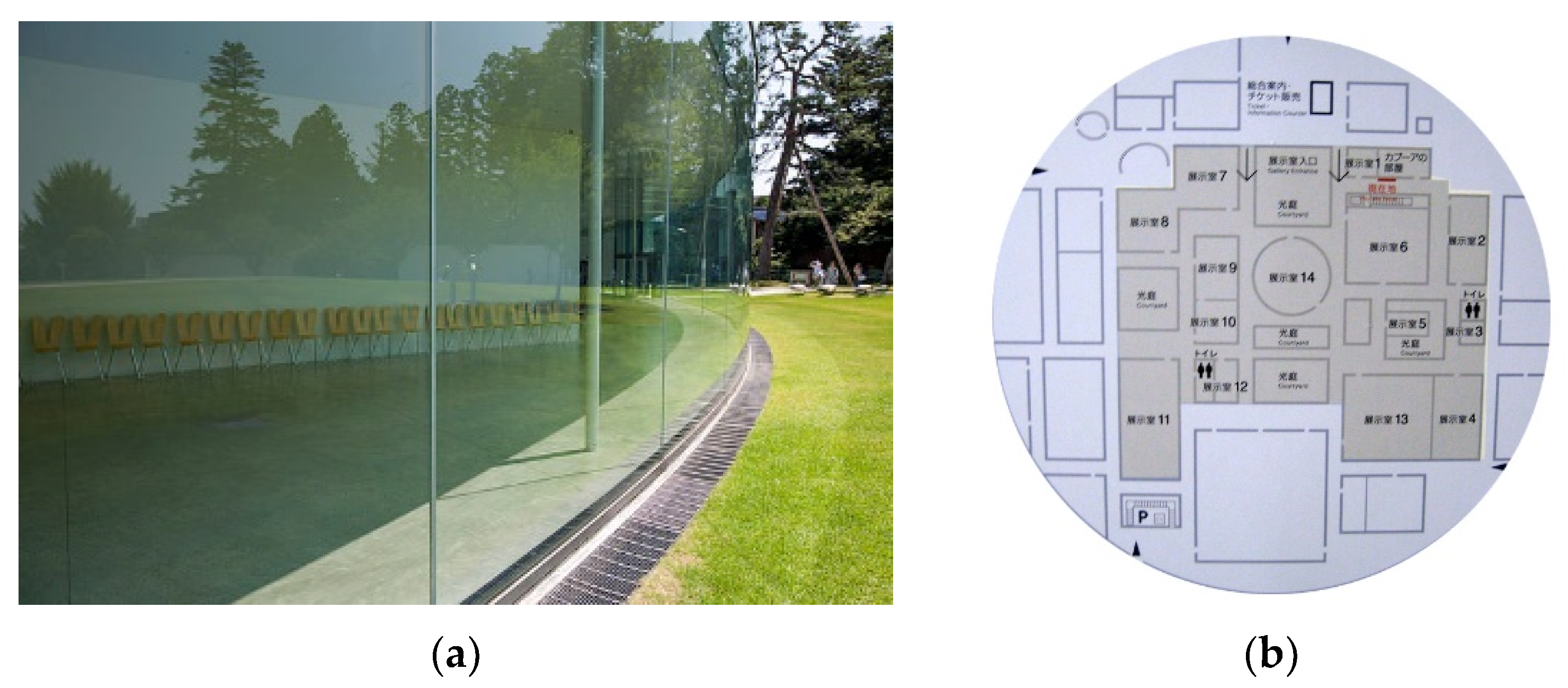 Sustainability 13 09046 g006