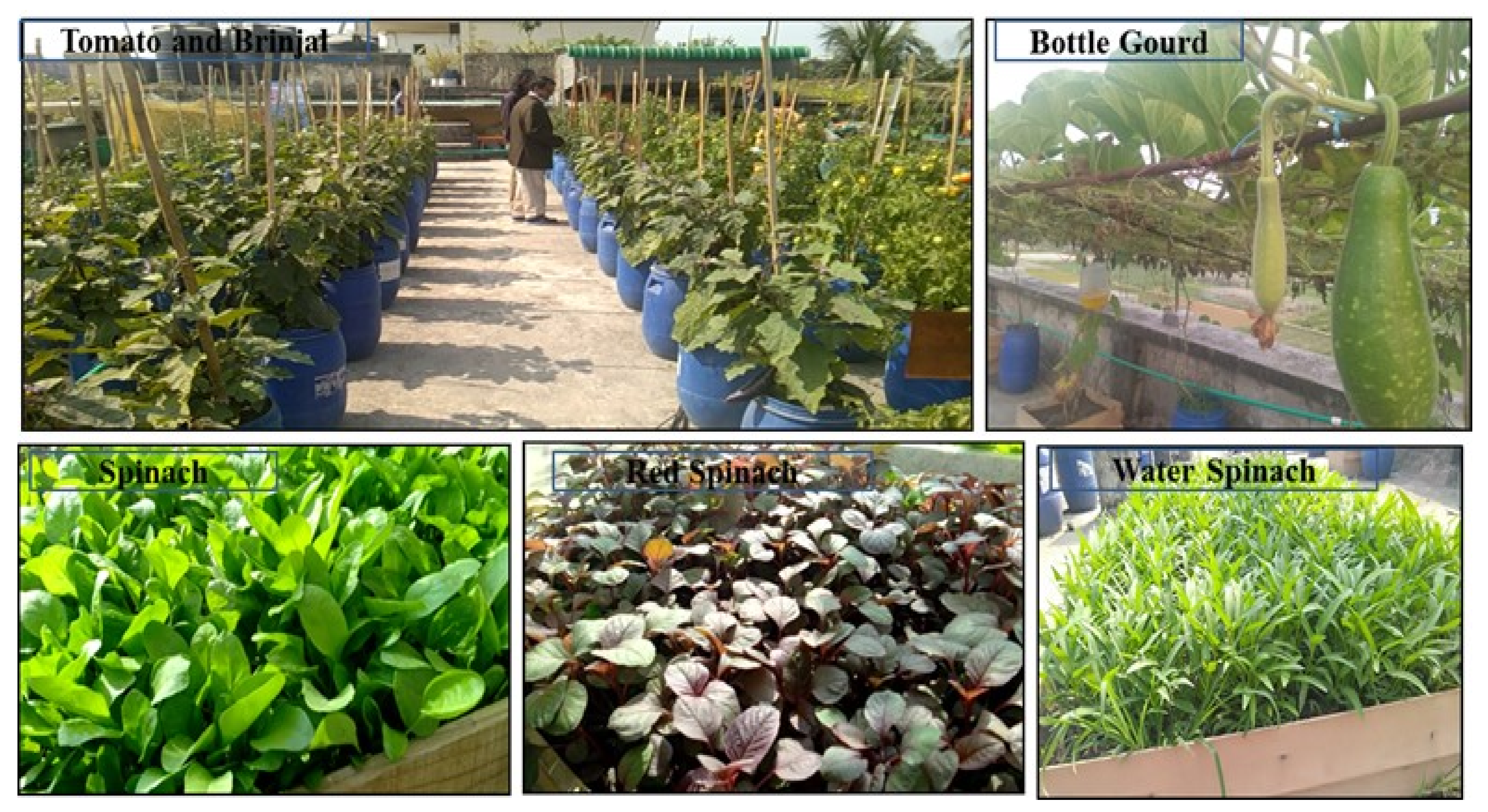 Sustainability 13 09053 g003