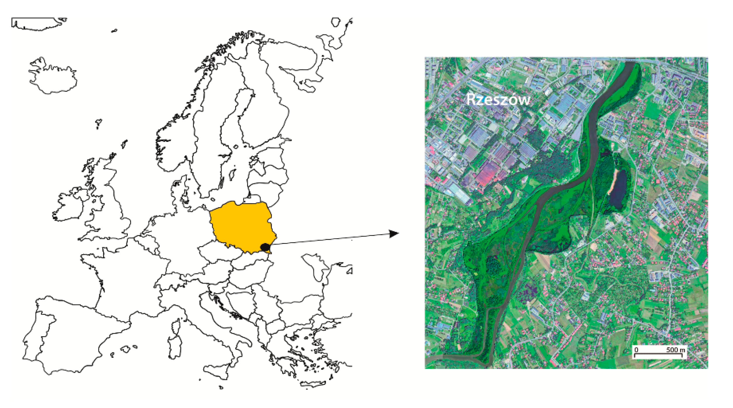 Sustainability 13 09071 g001