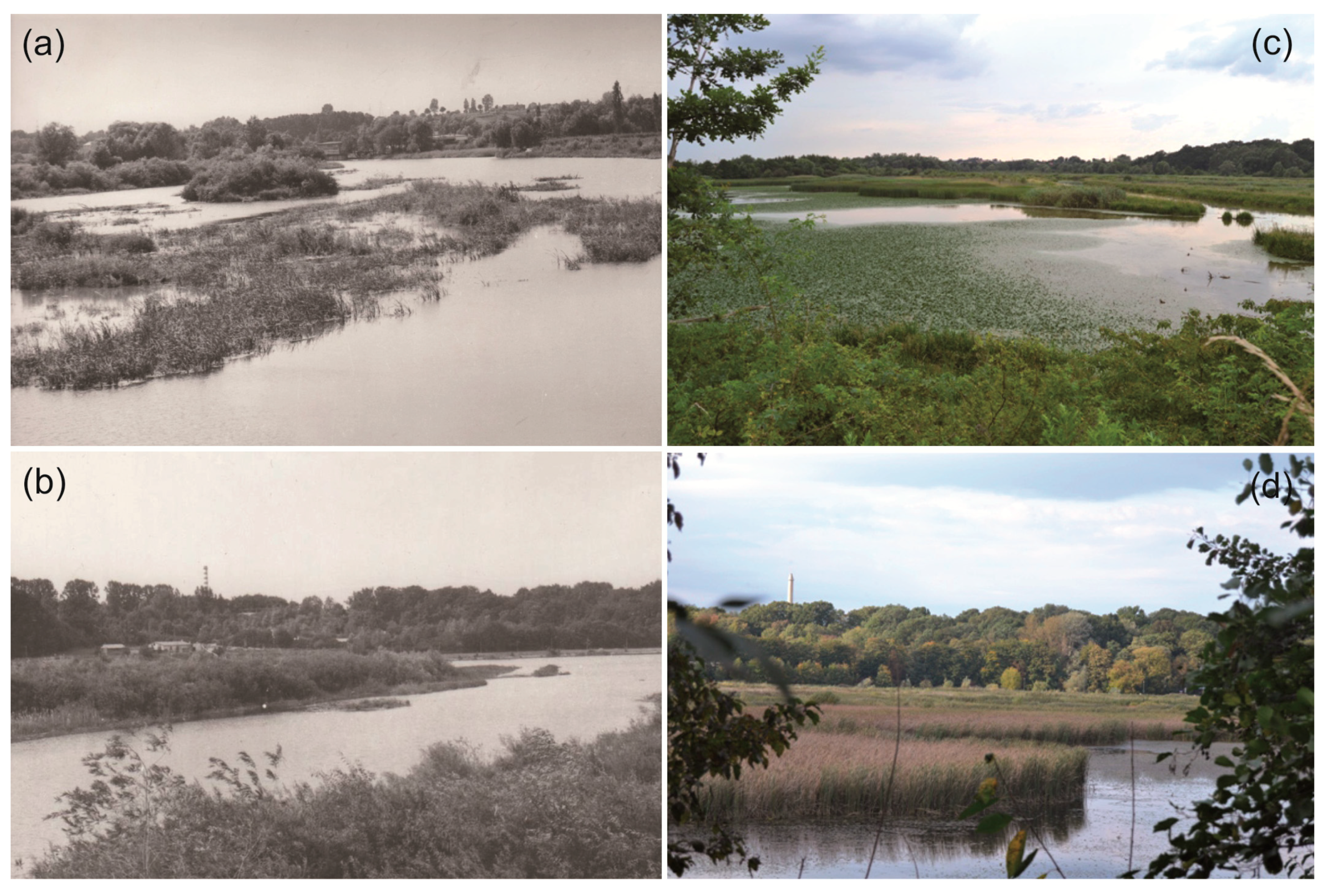 Sustainability 13 09071 g003