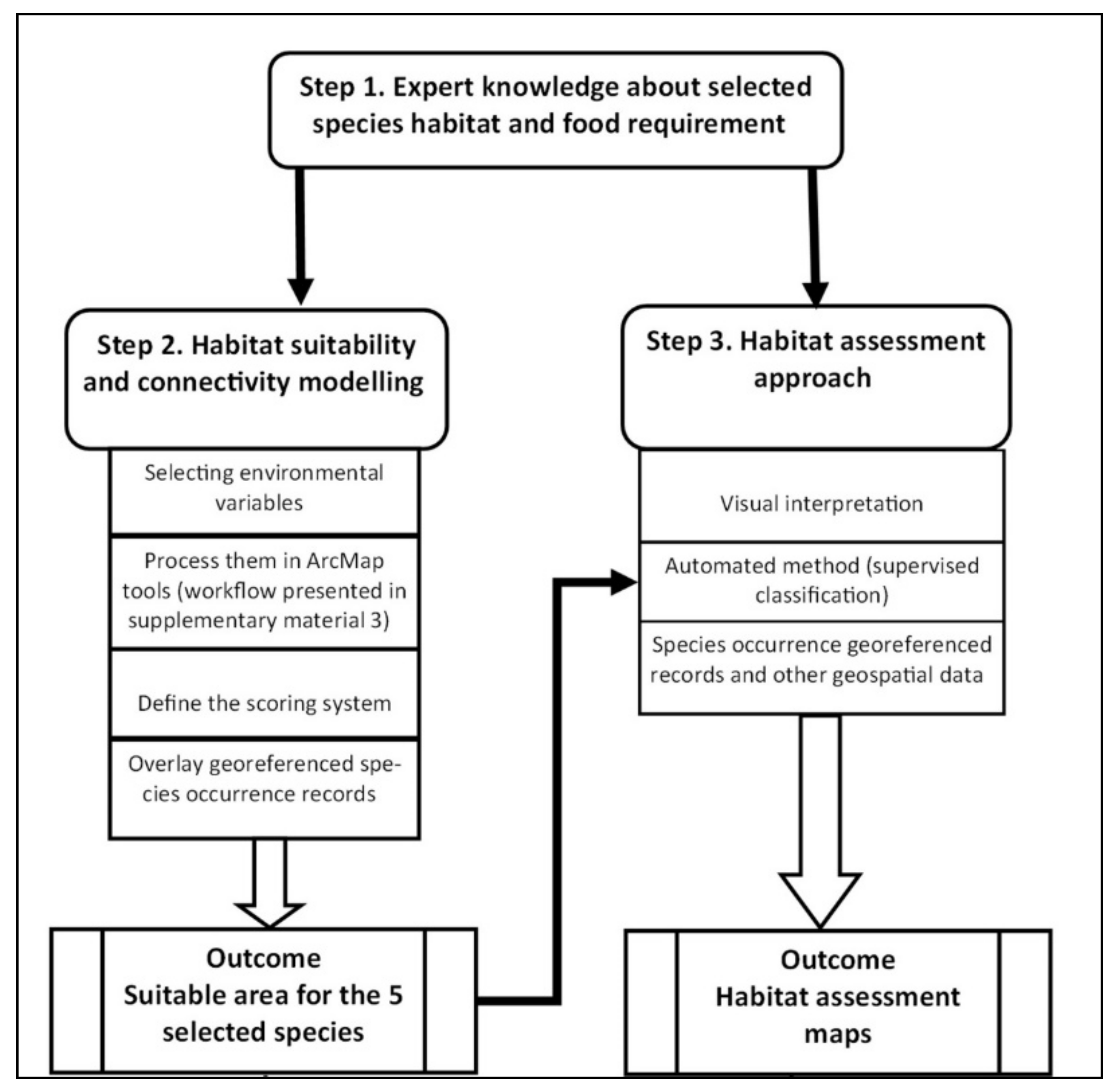 Sustainability 13 09105 g001
