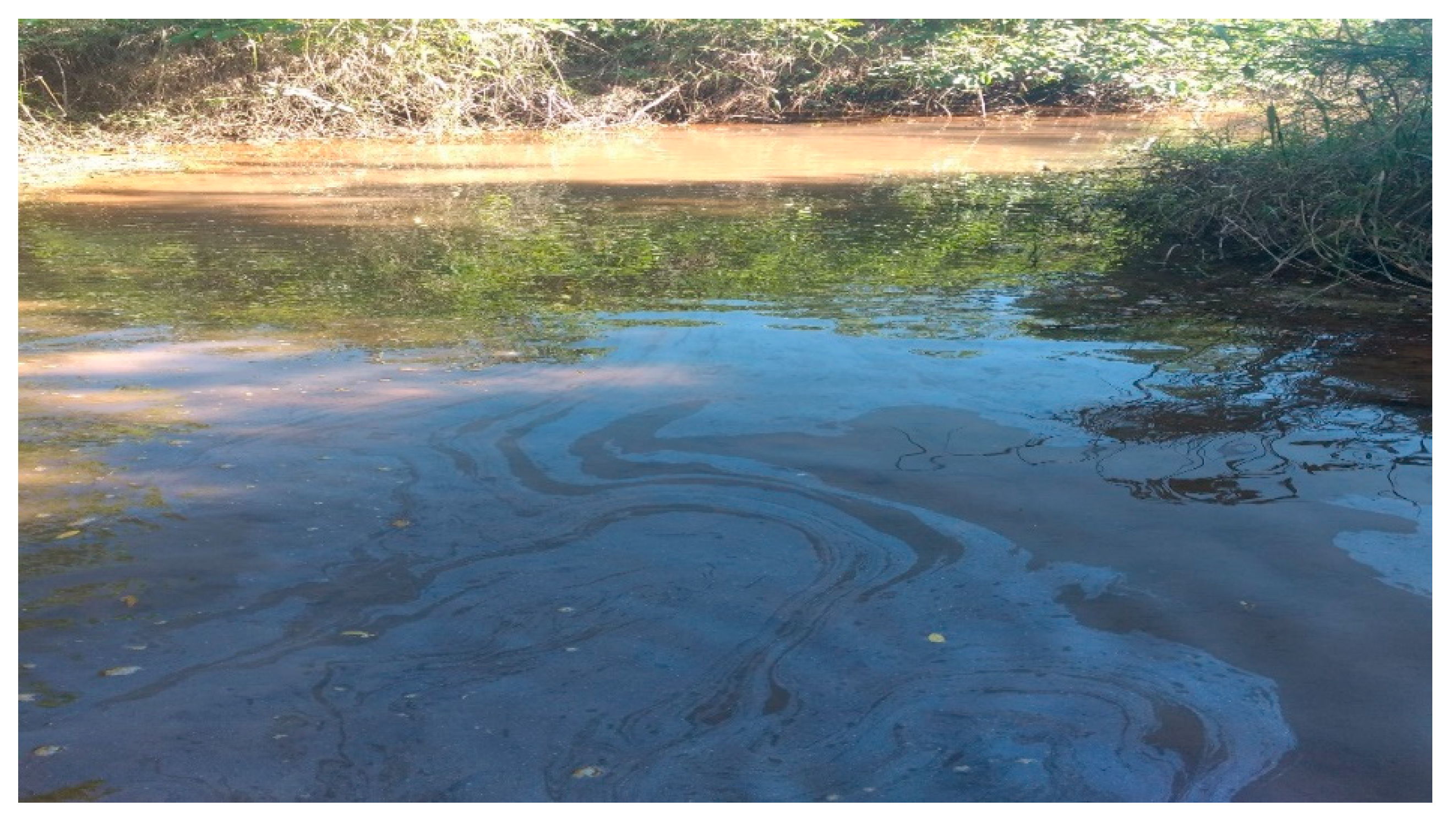 Sustainability 13 09134 g005