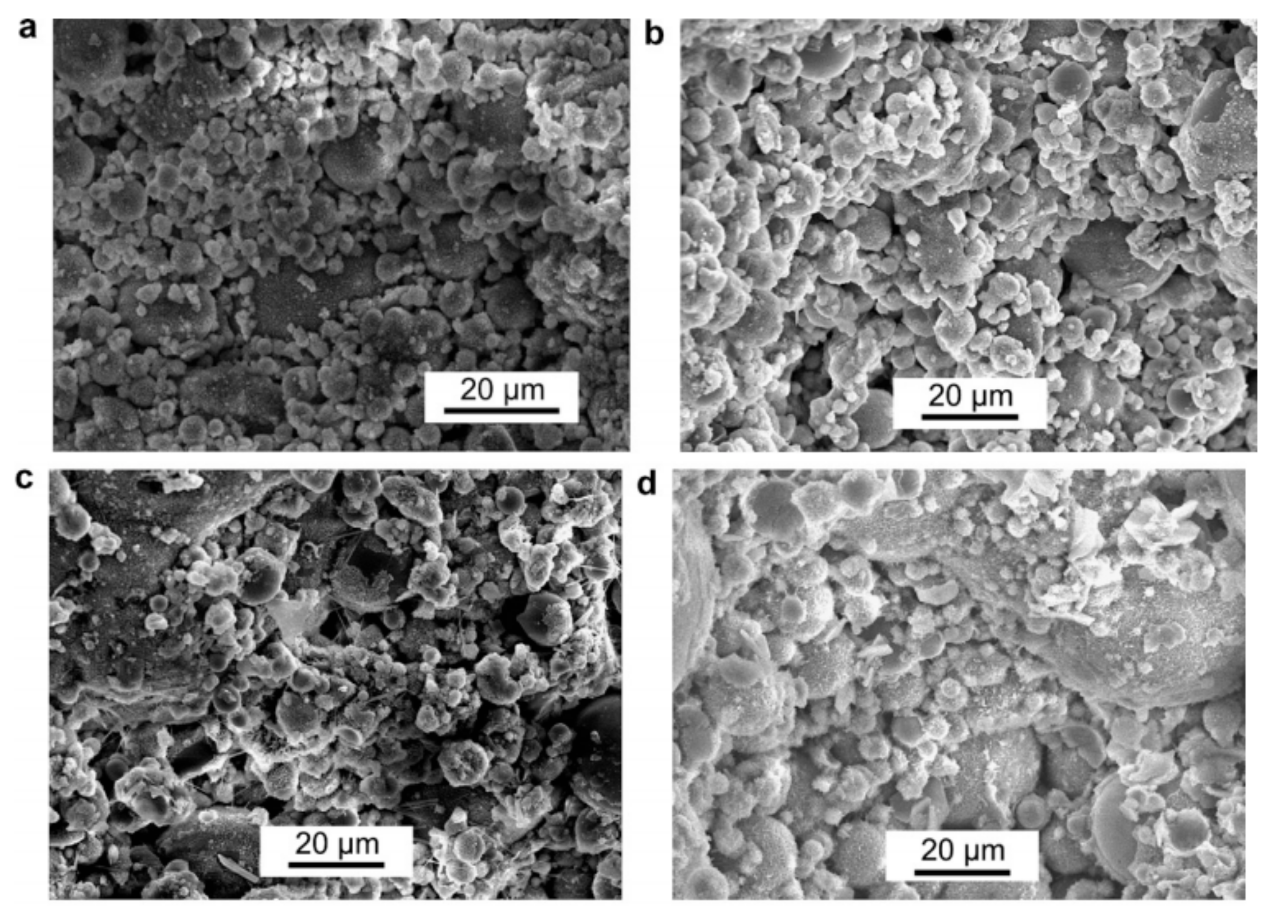 Sustainability 13 09188 g002