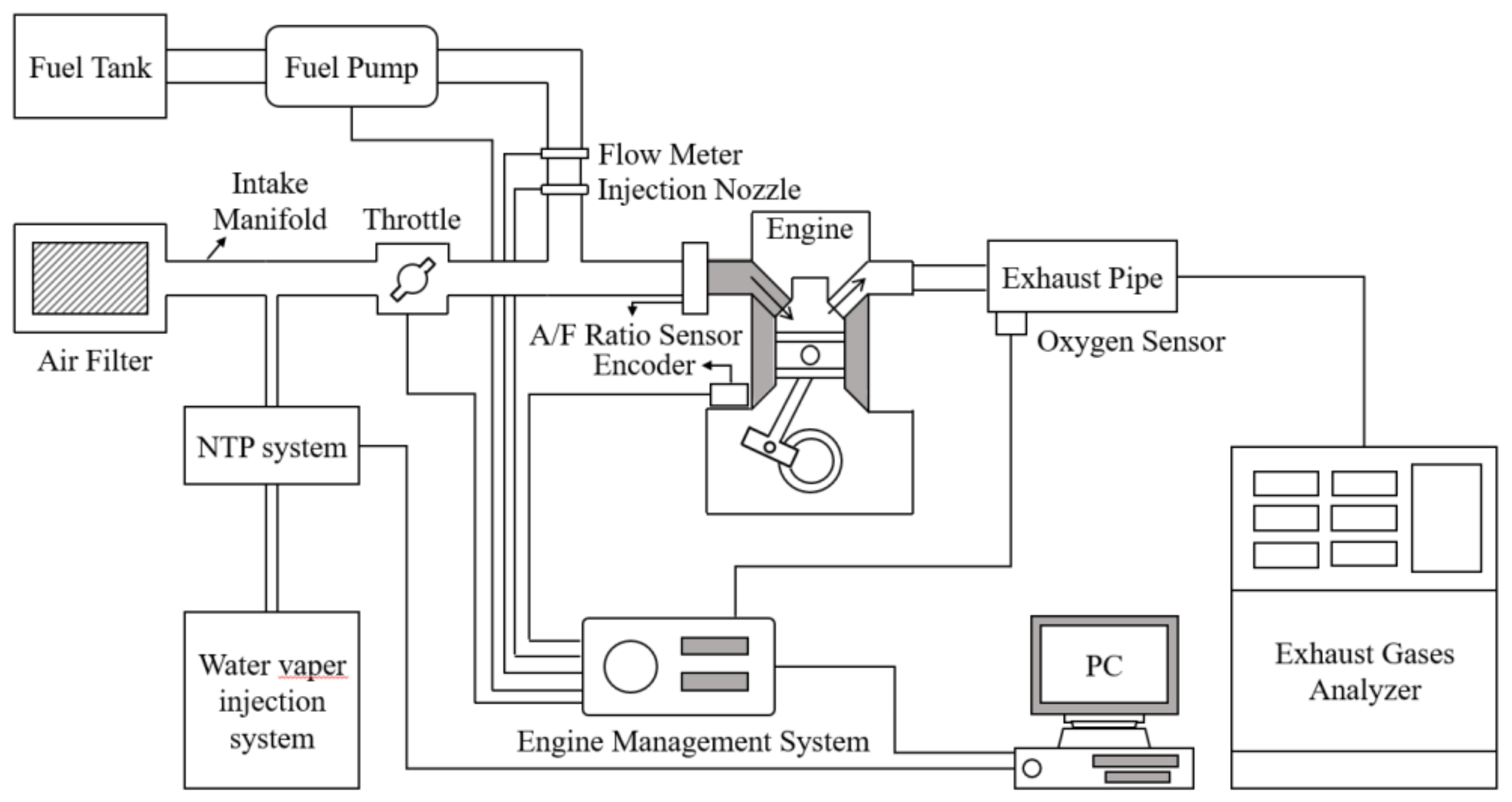 Sustainability 13 09229 g001