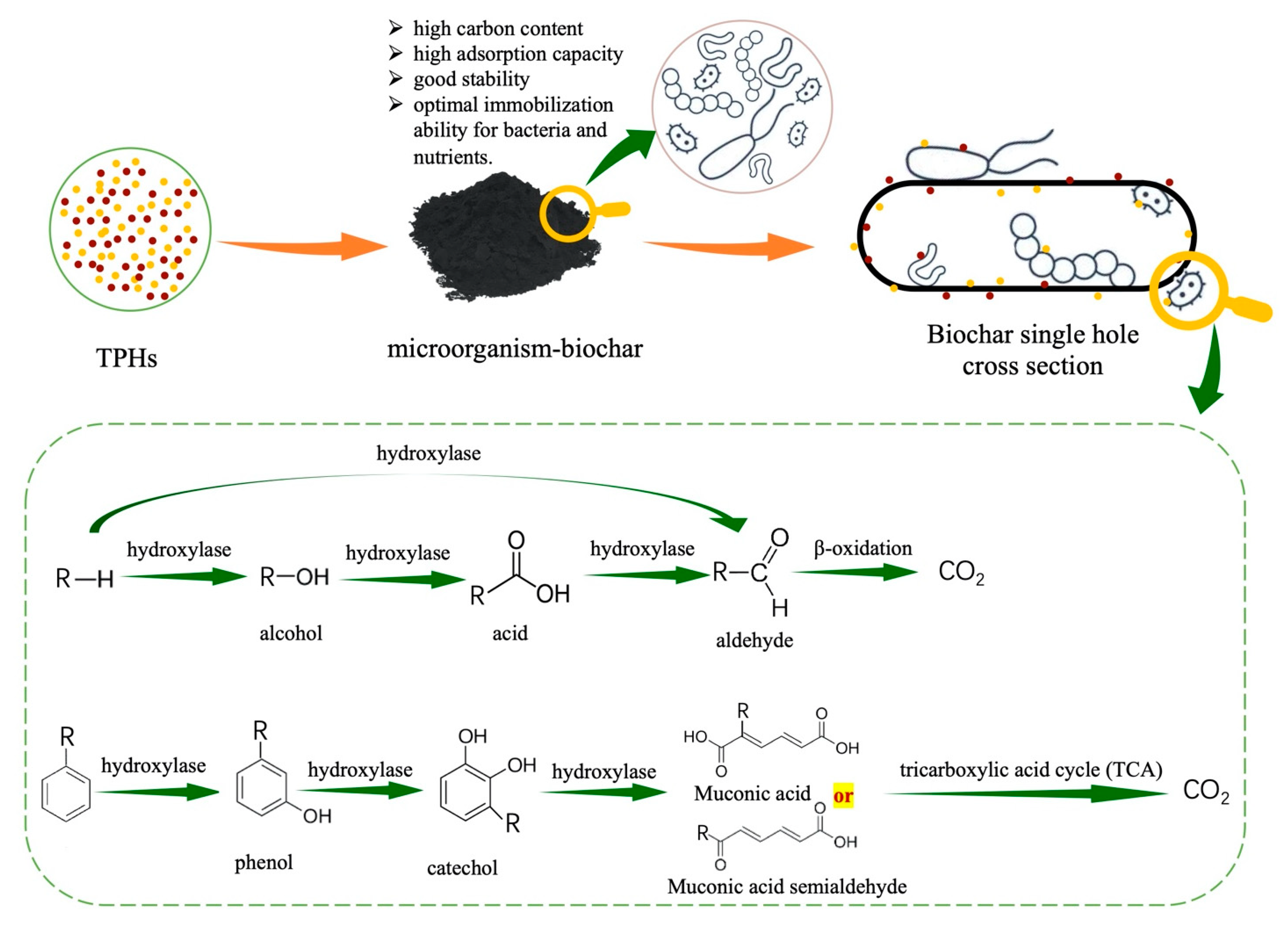 Sustainability 13 09267 g005