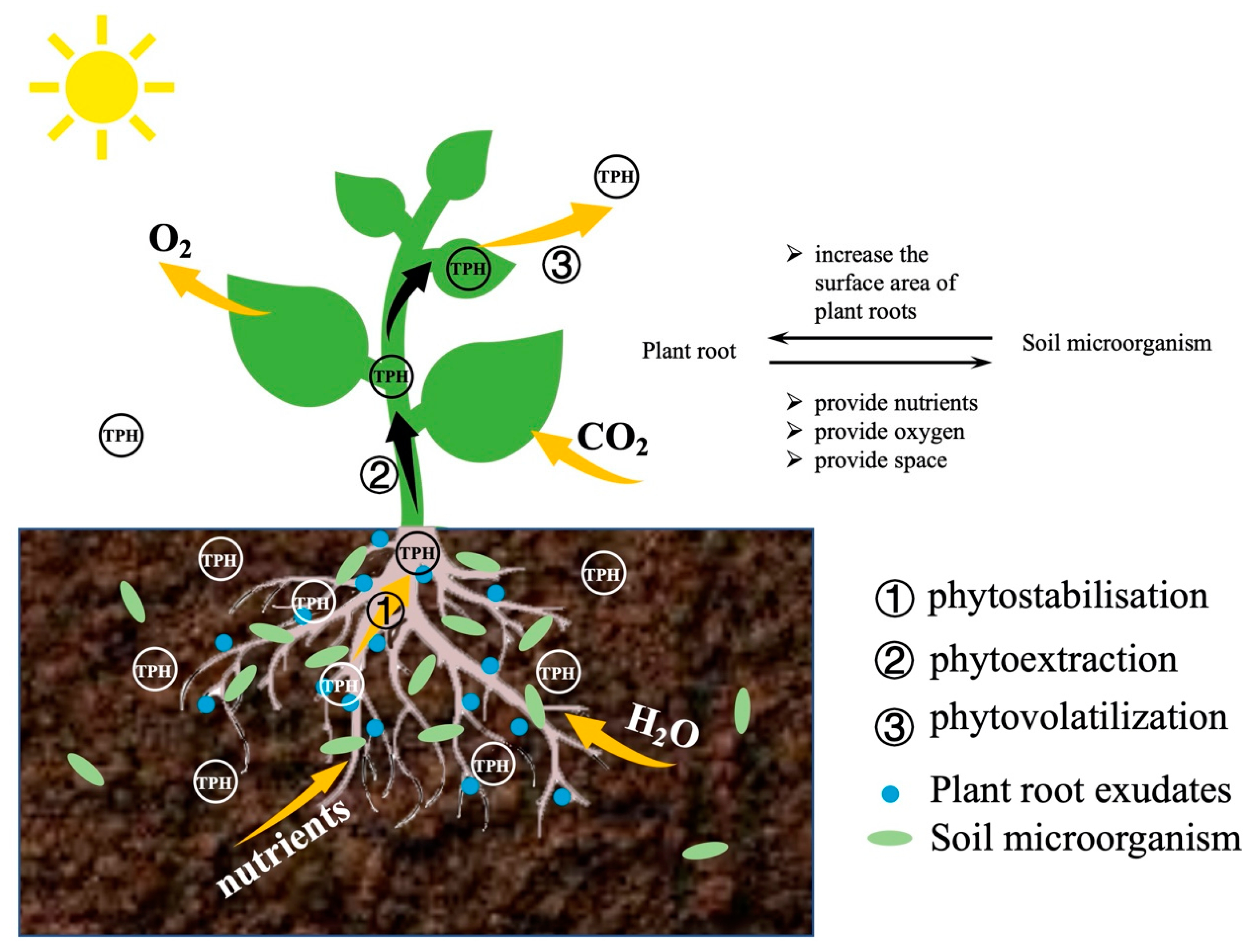 Sustainability 13 09267 g006