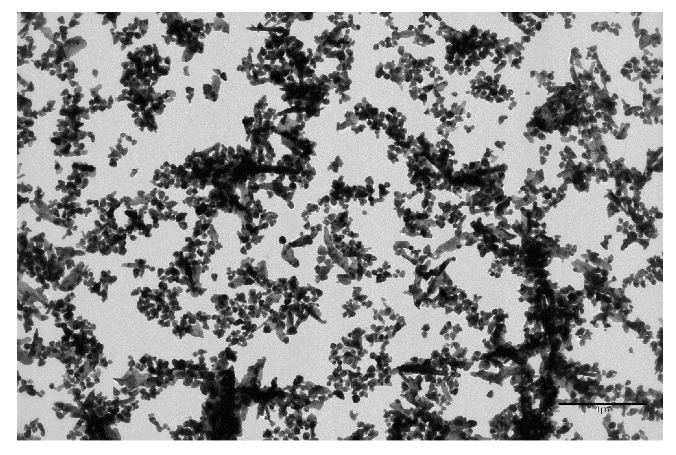 Sustainability 13 09275 g004